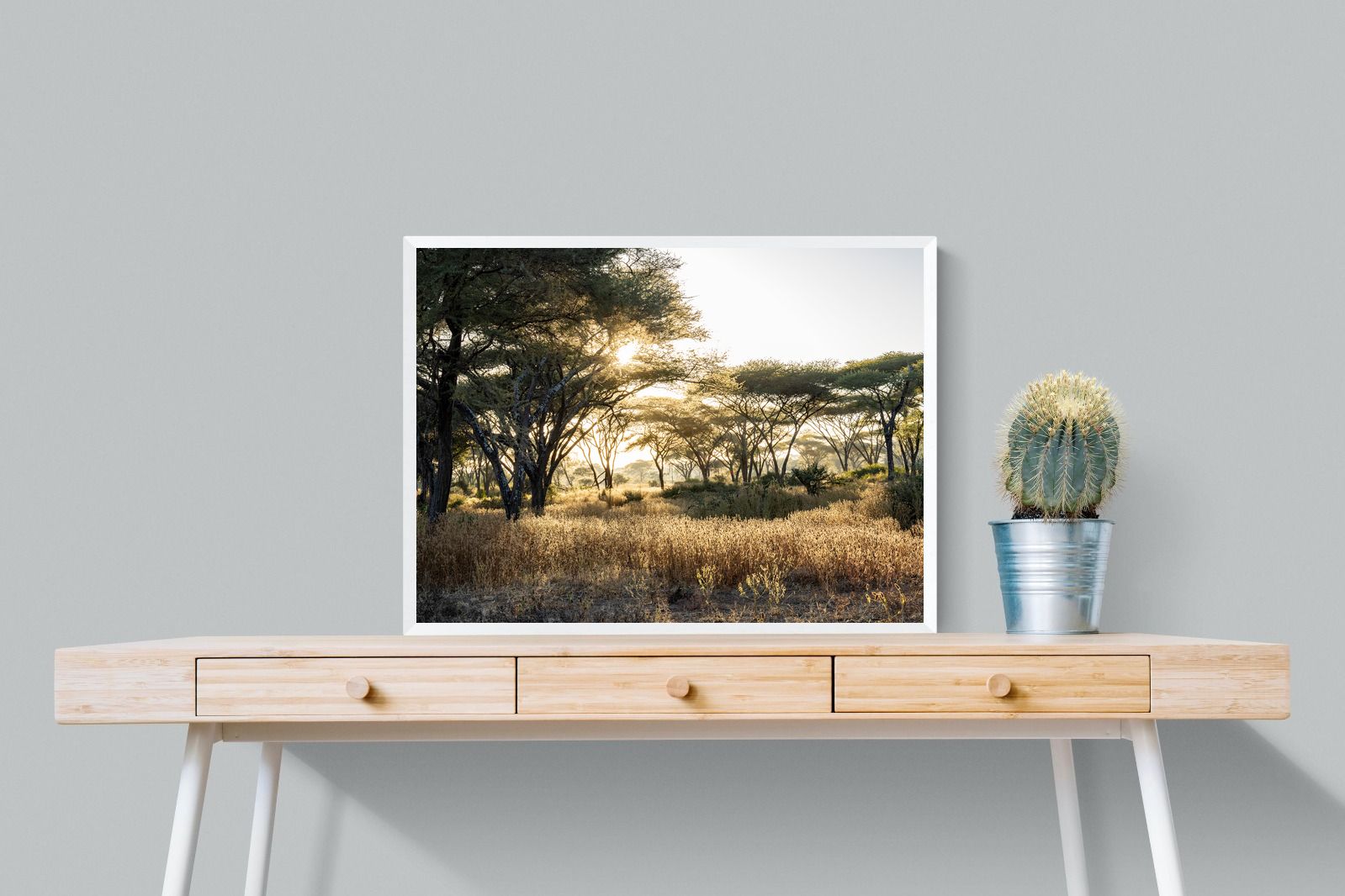 Pixalot Hippo Valley