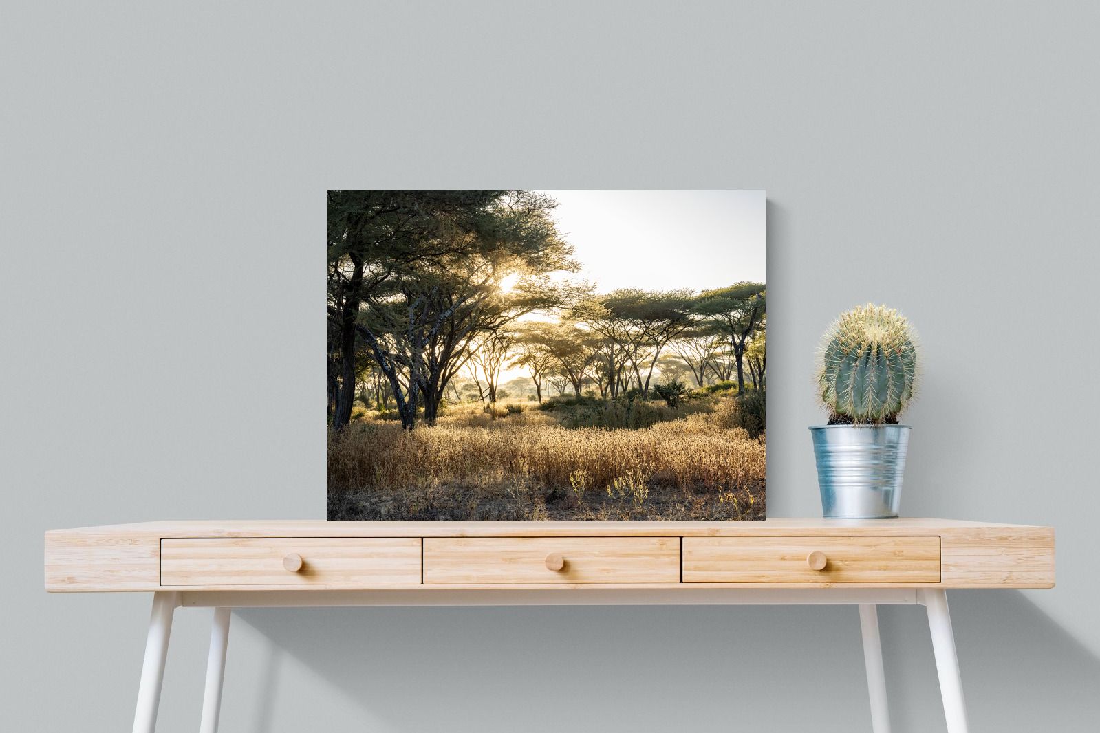 Pixalot Hippo Valley