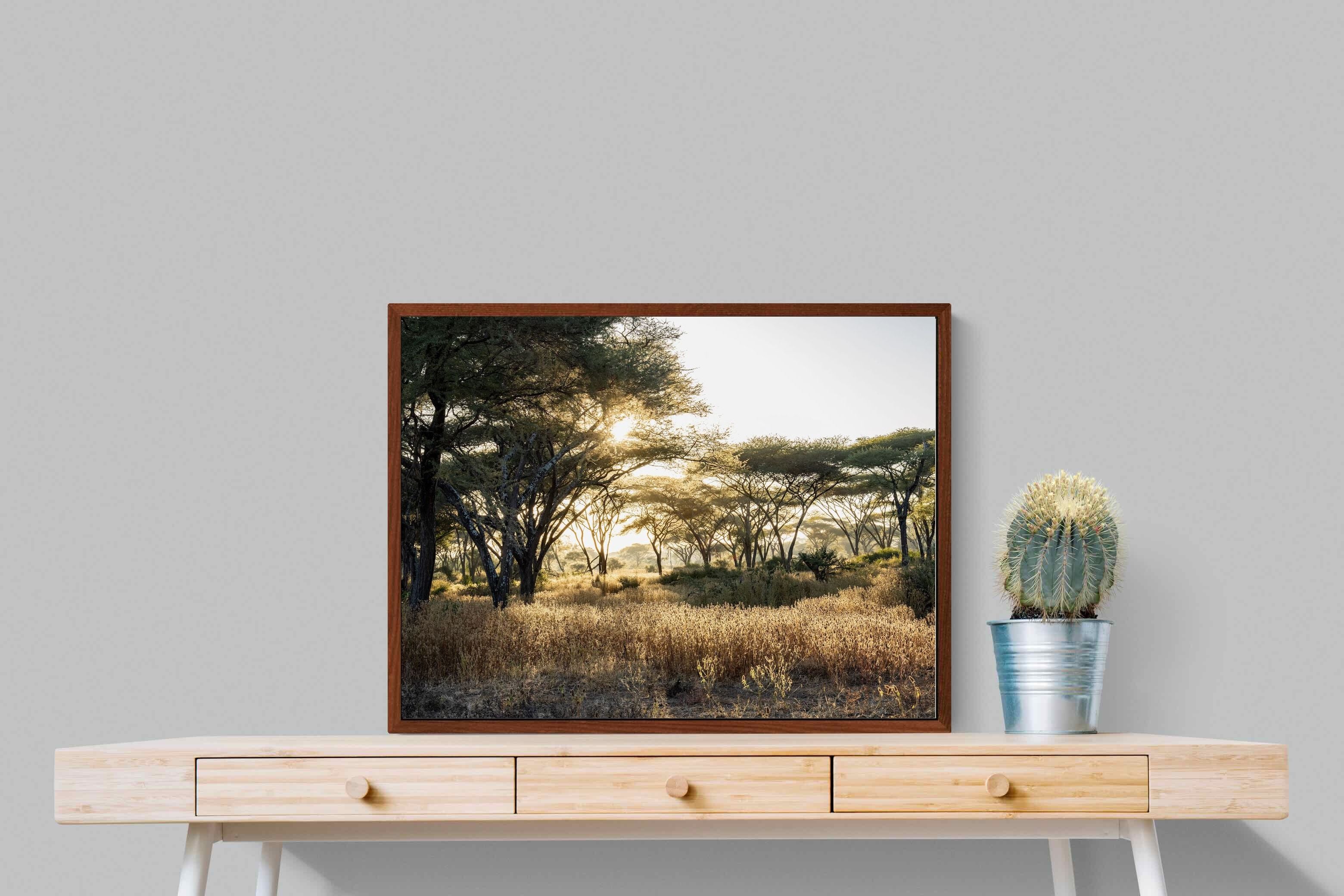 Pixalot Hippo Valley