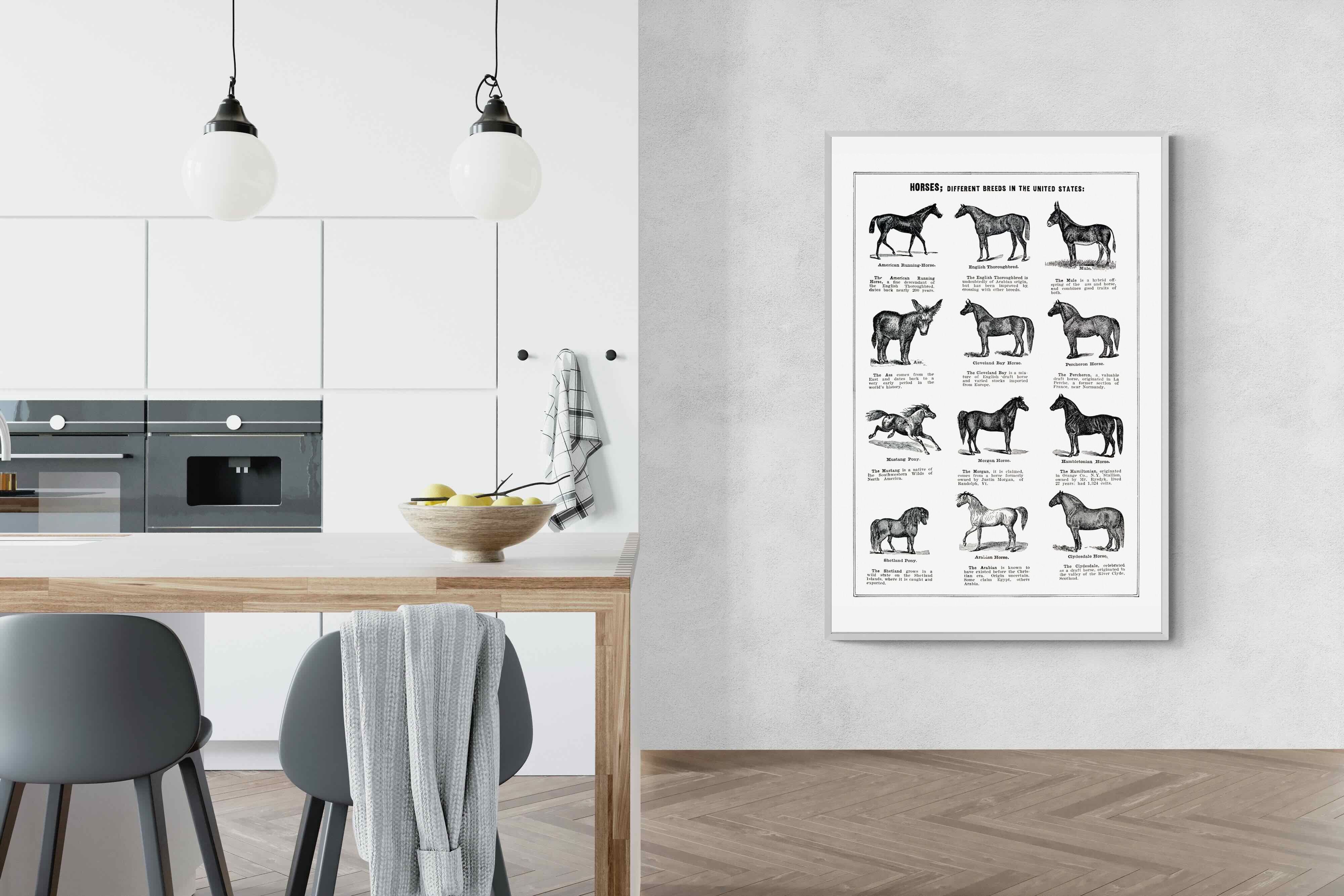 Pixalot Horse Breeds