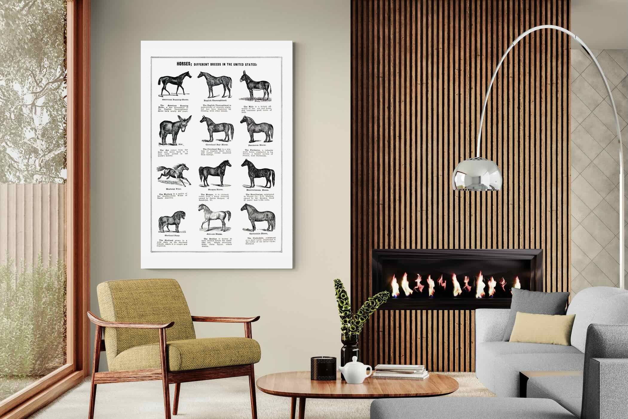 Pixalot Horse Breeds