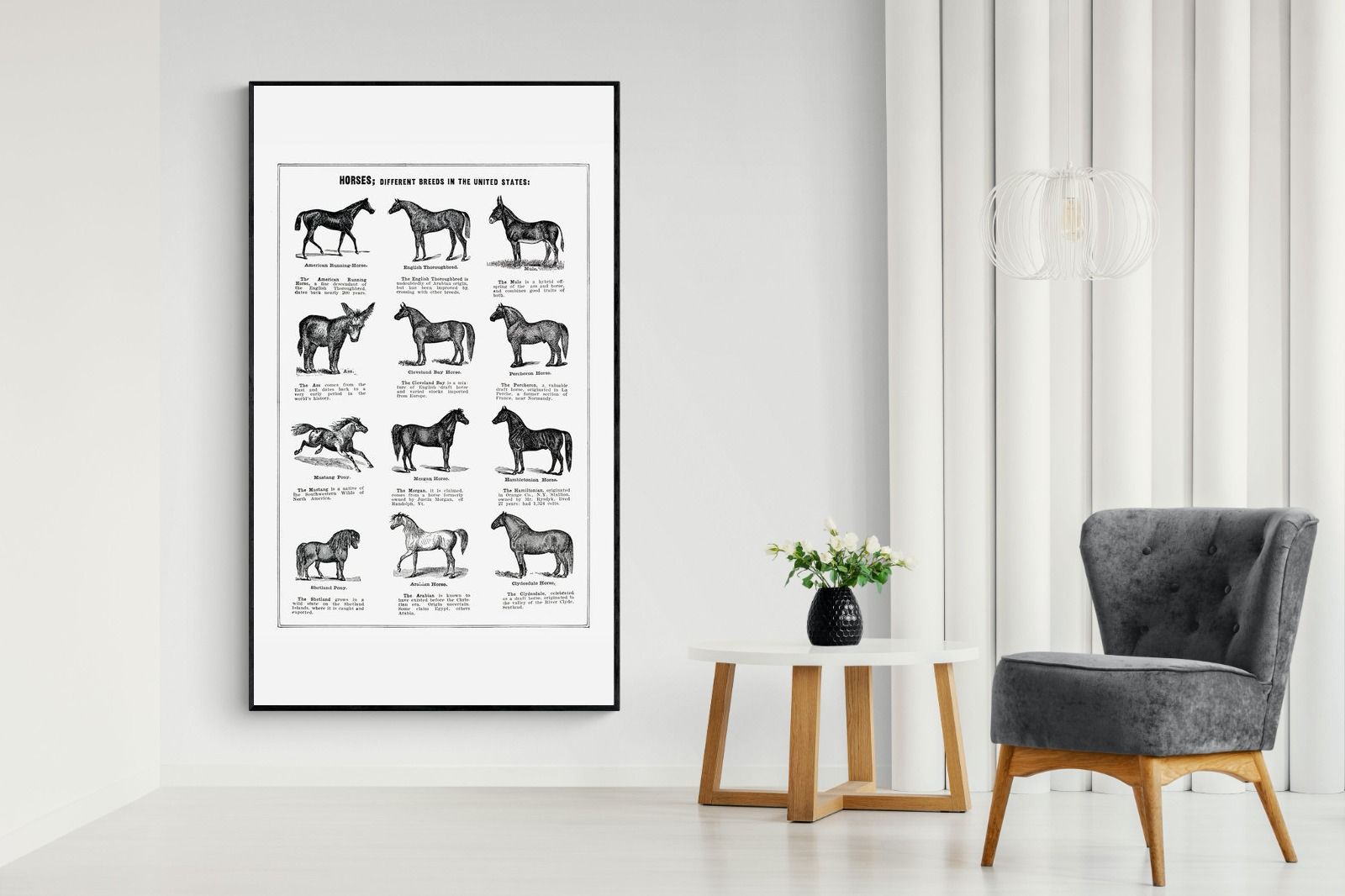 Pixalot Horse Breeds