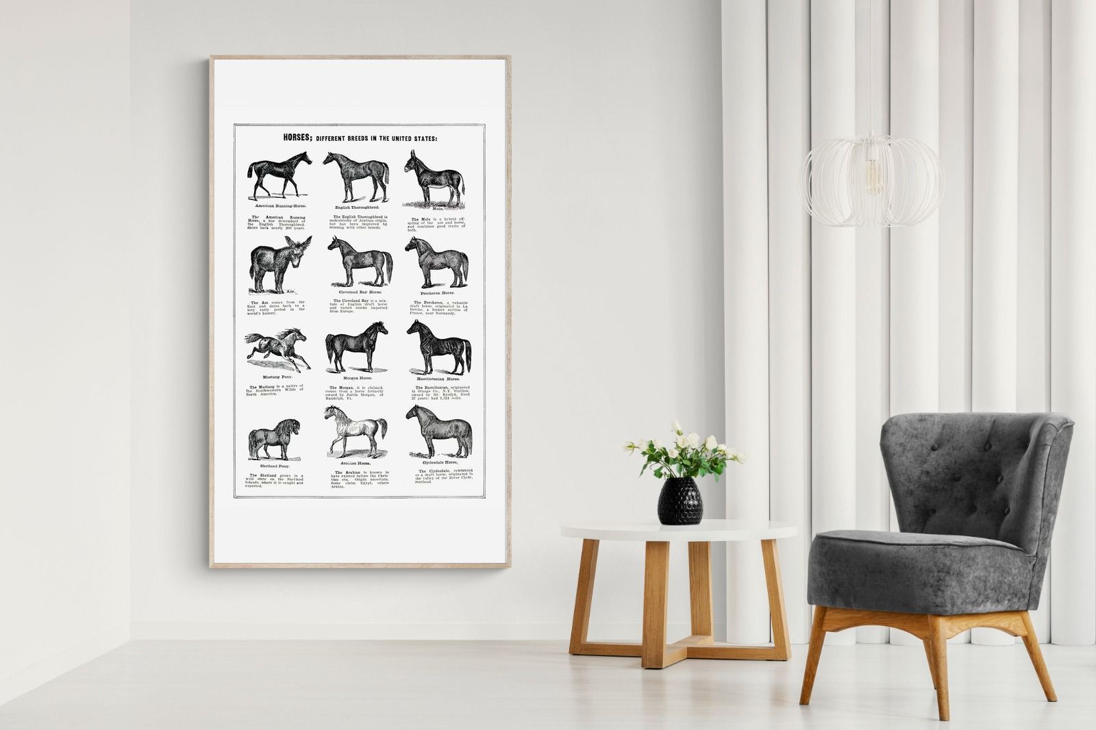 Pixalot Horse Breeds