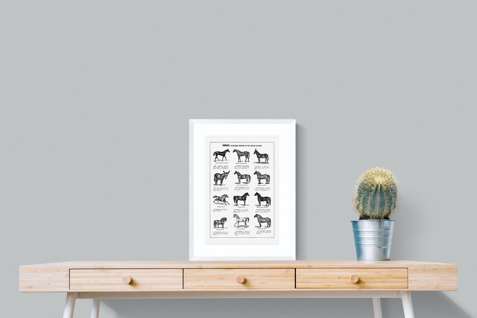 Pixalot Horse Breeds