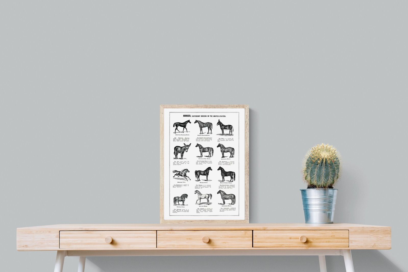 Pixalot Horse Breeds