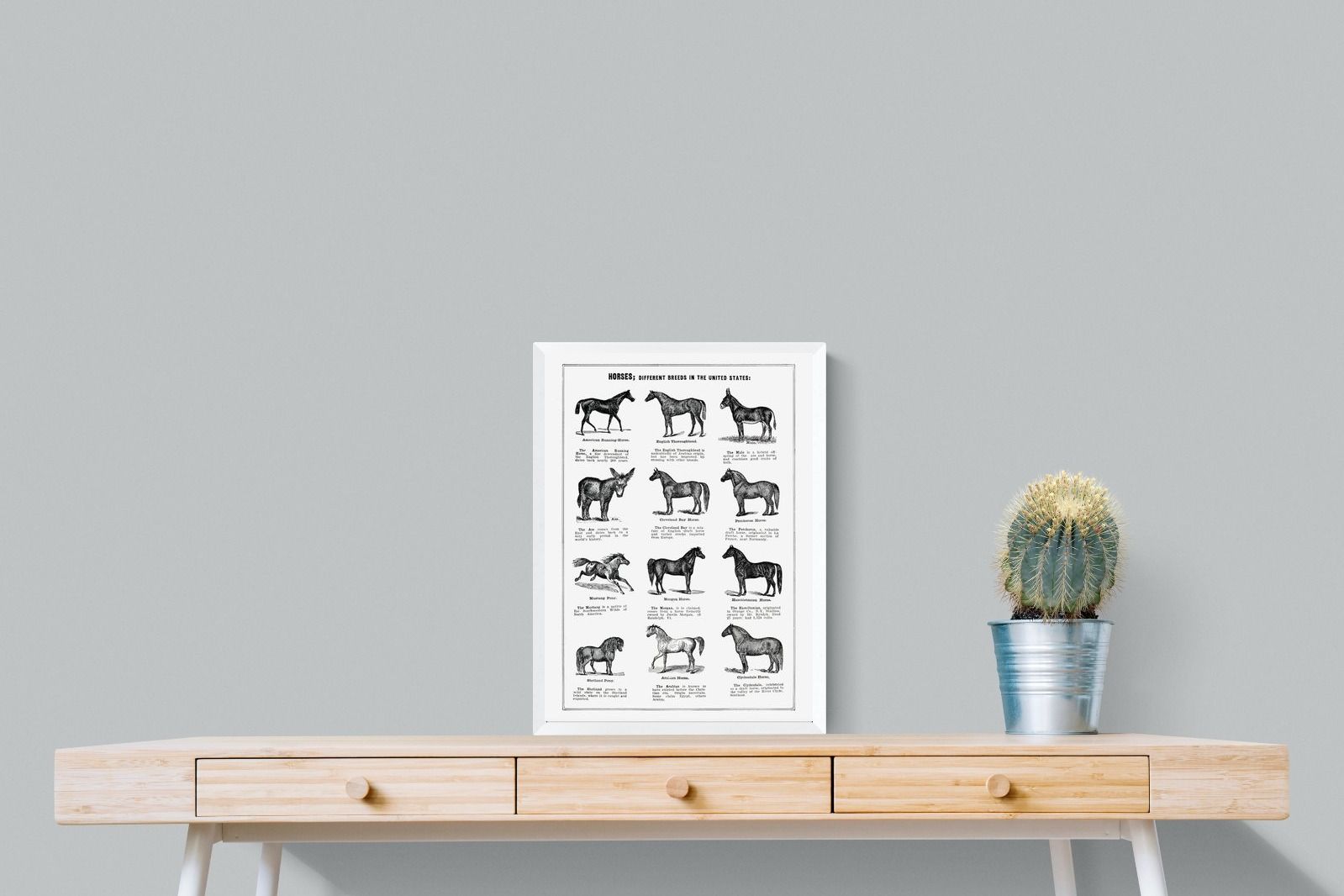 Pixalot Horse Breeds