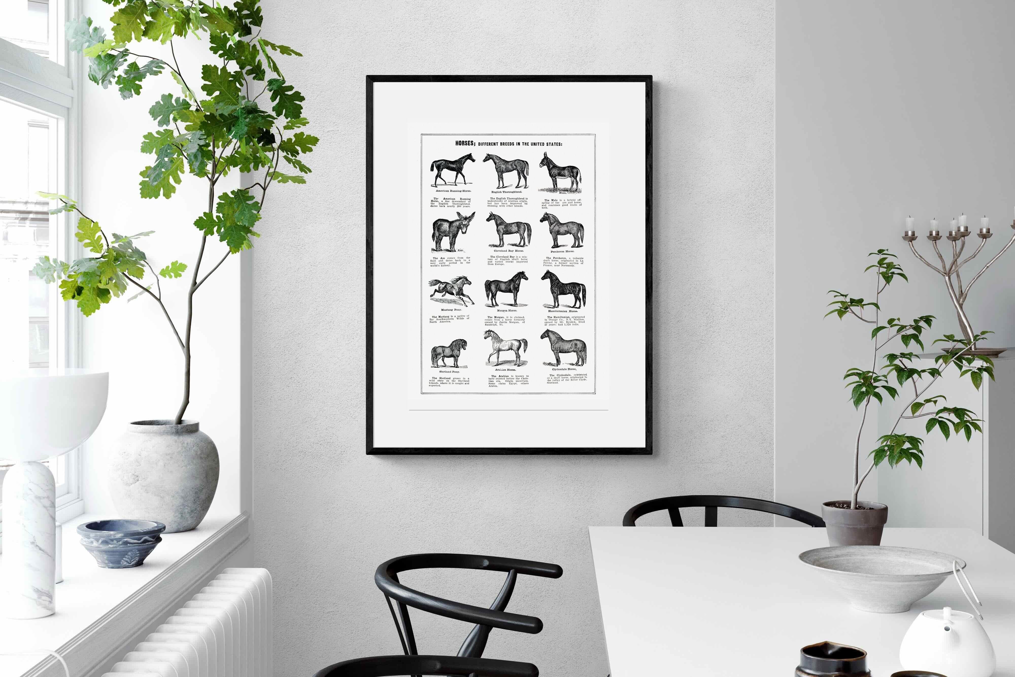 Pixalot Horse Breeds