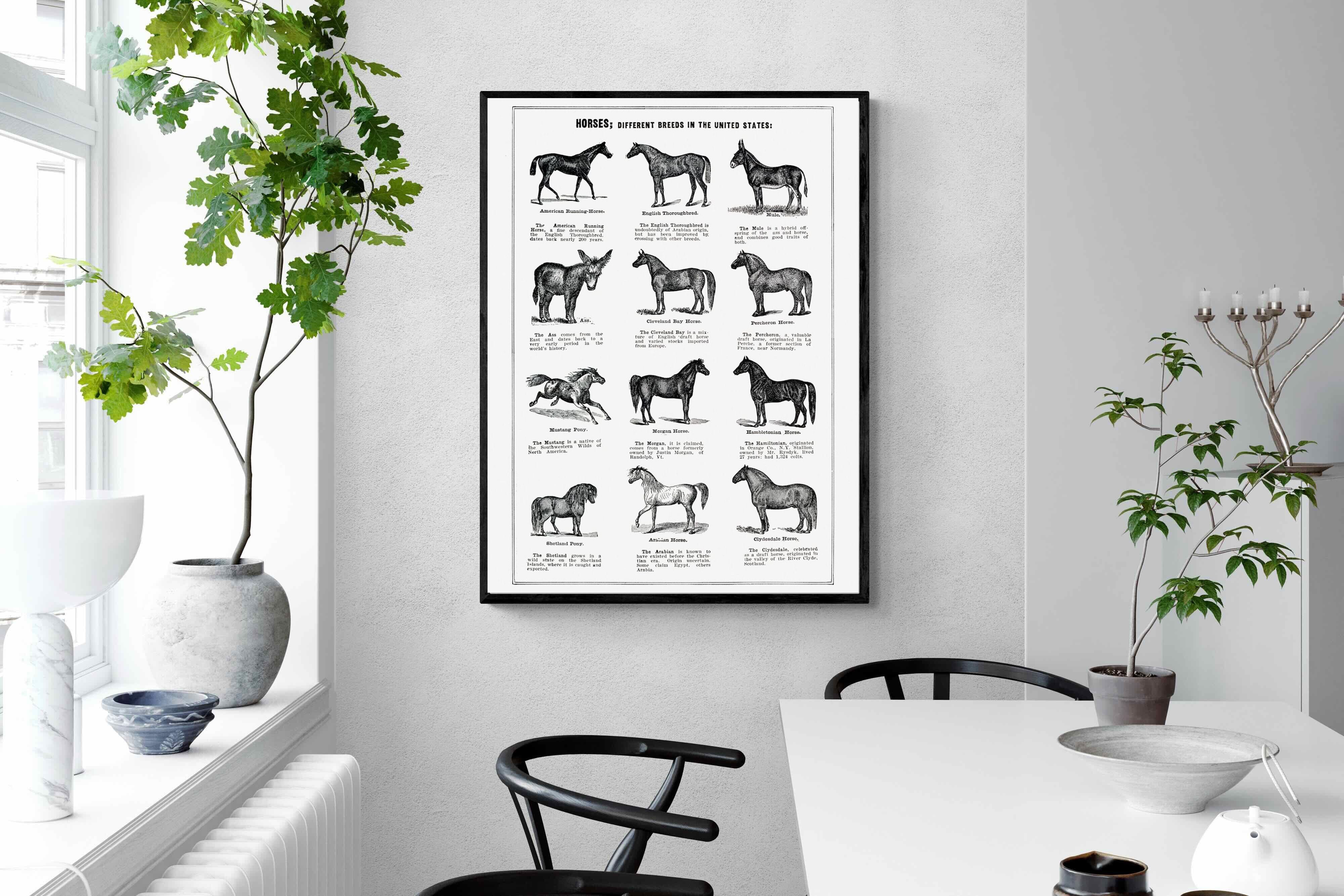 Pixalot Horse Breeds