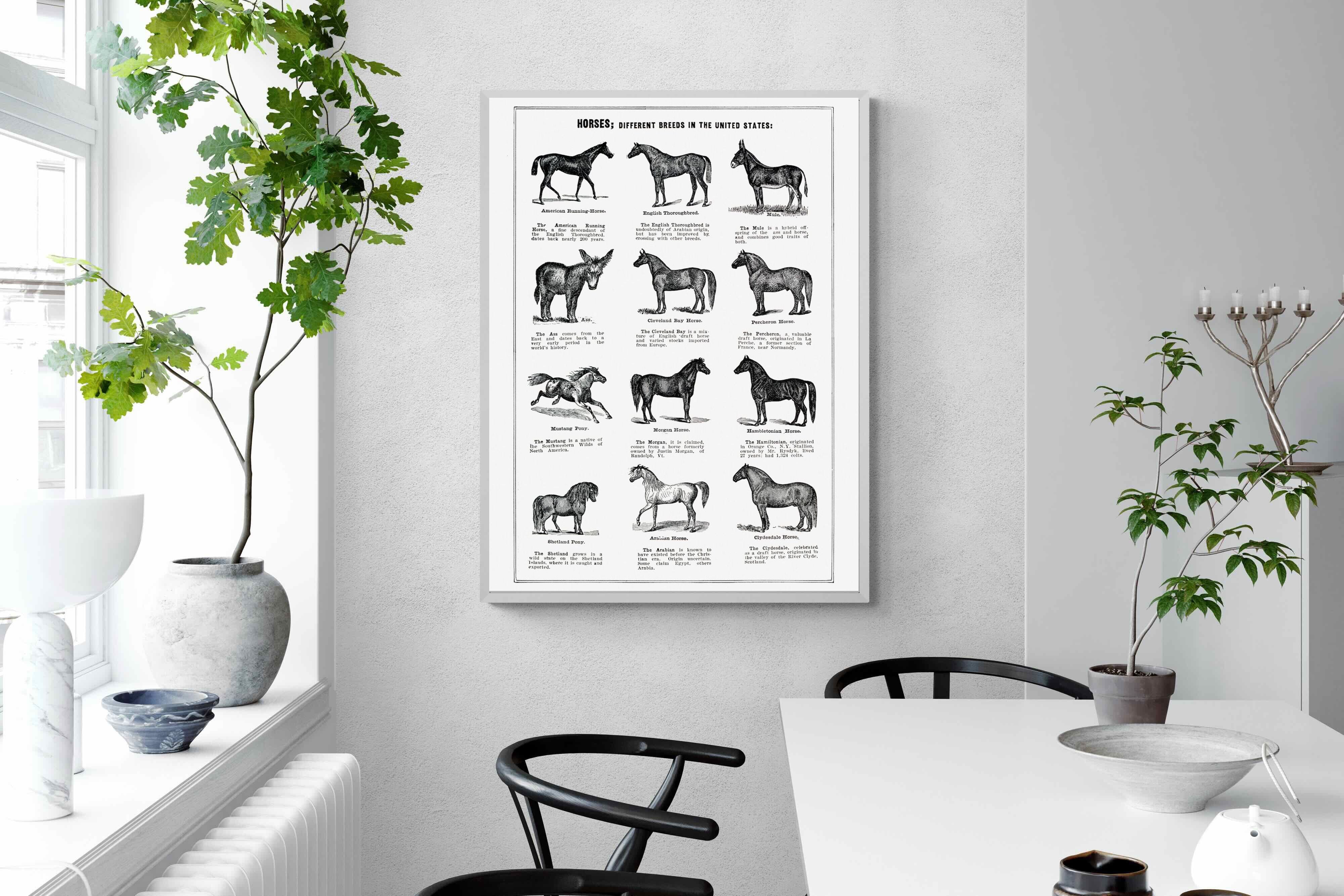 Pixalot Horse Breeds