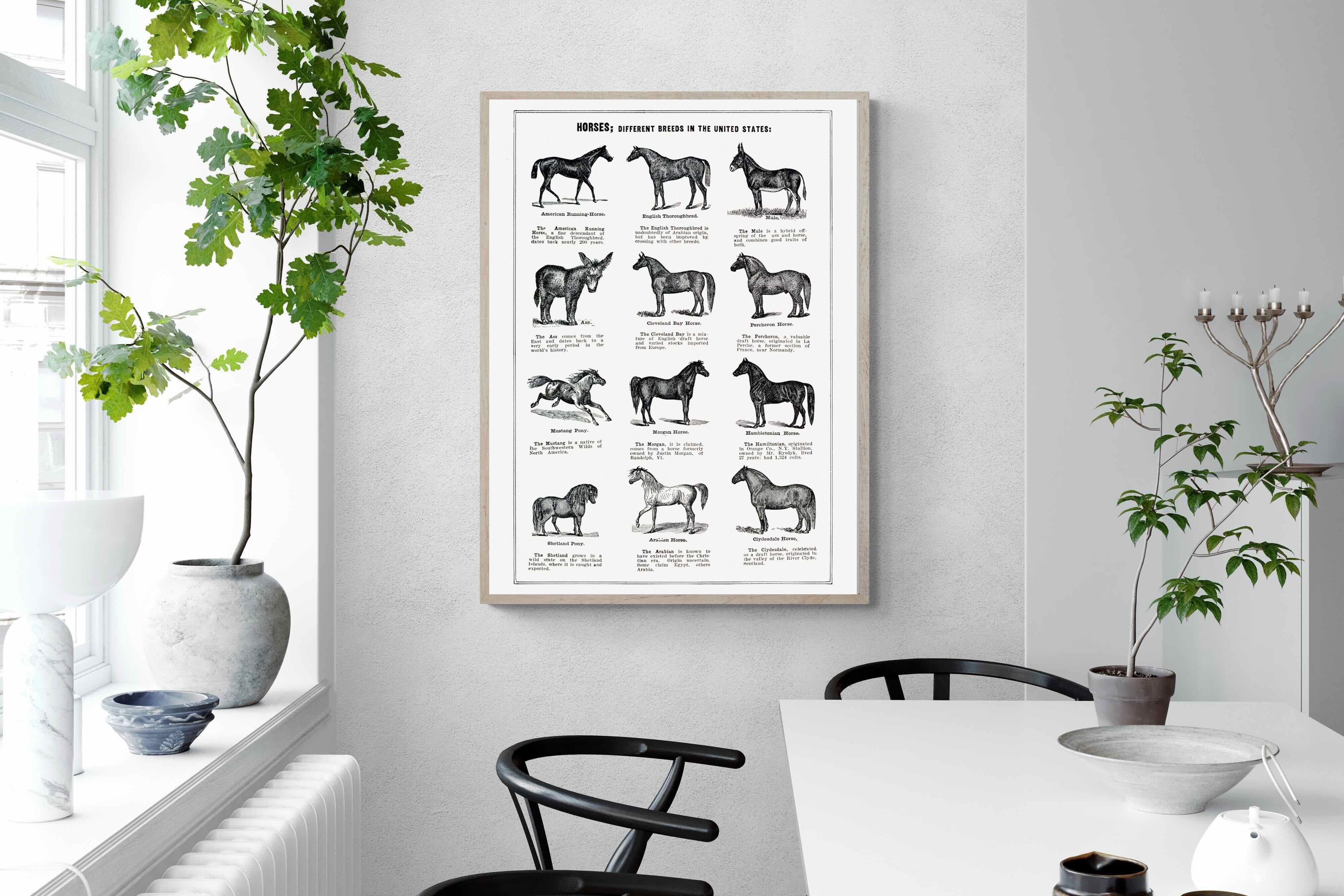 Pixalot Horse Breeds