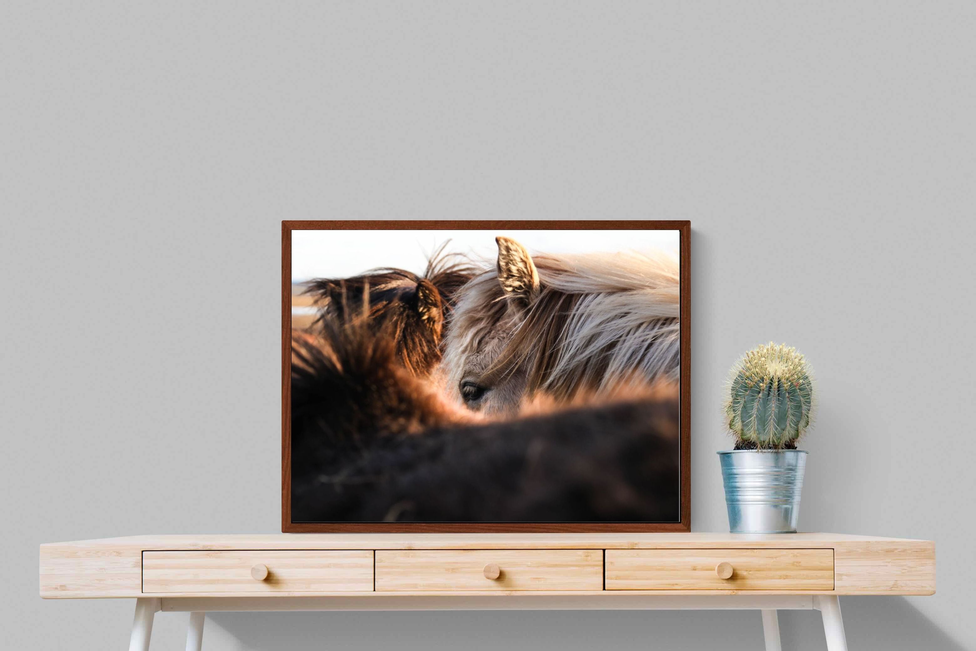 Pixalot ® Horse Whisper