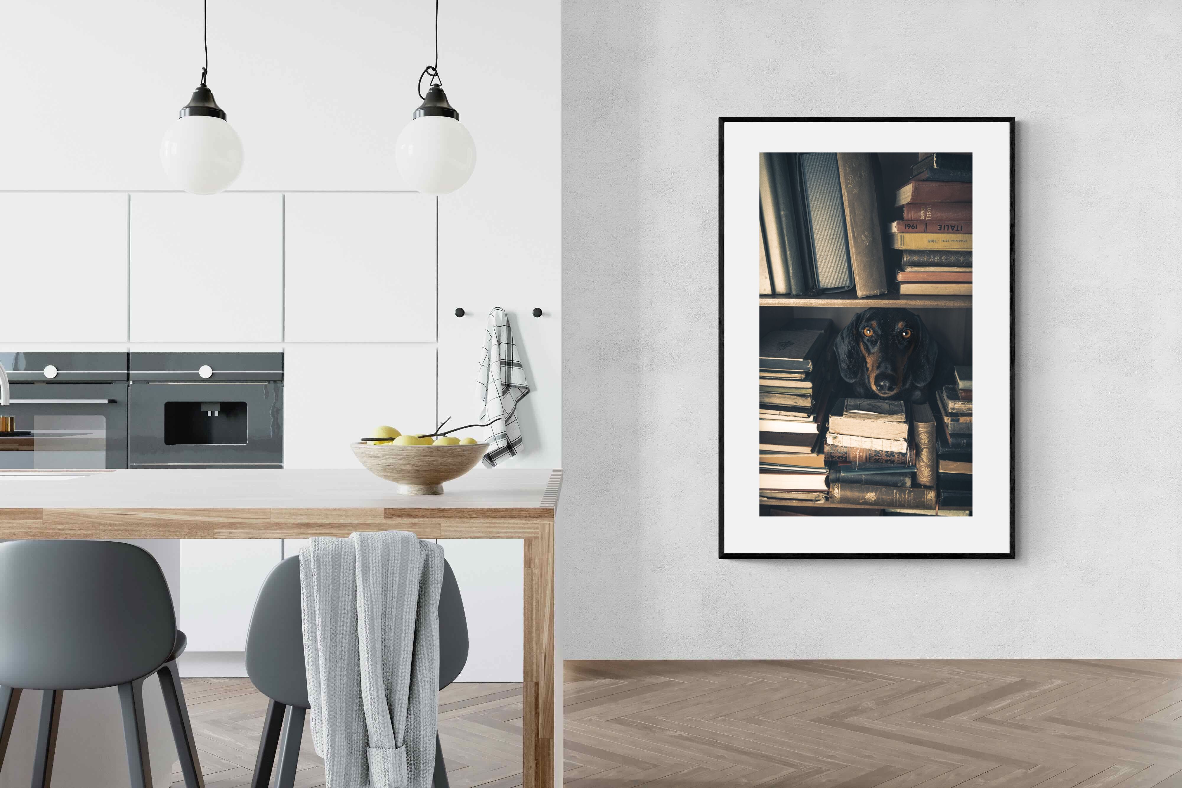 Pixalot Hound Among Books