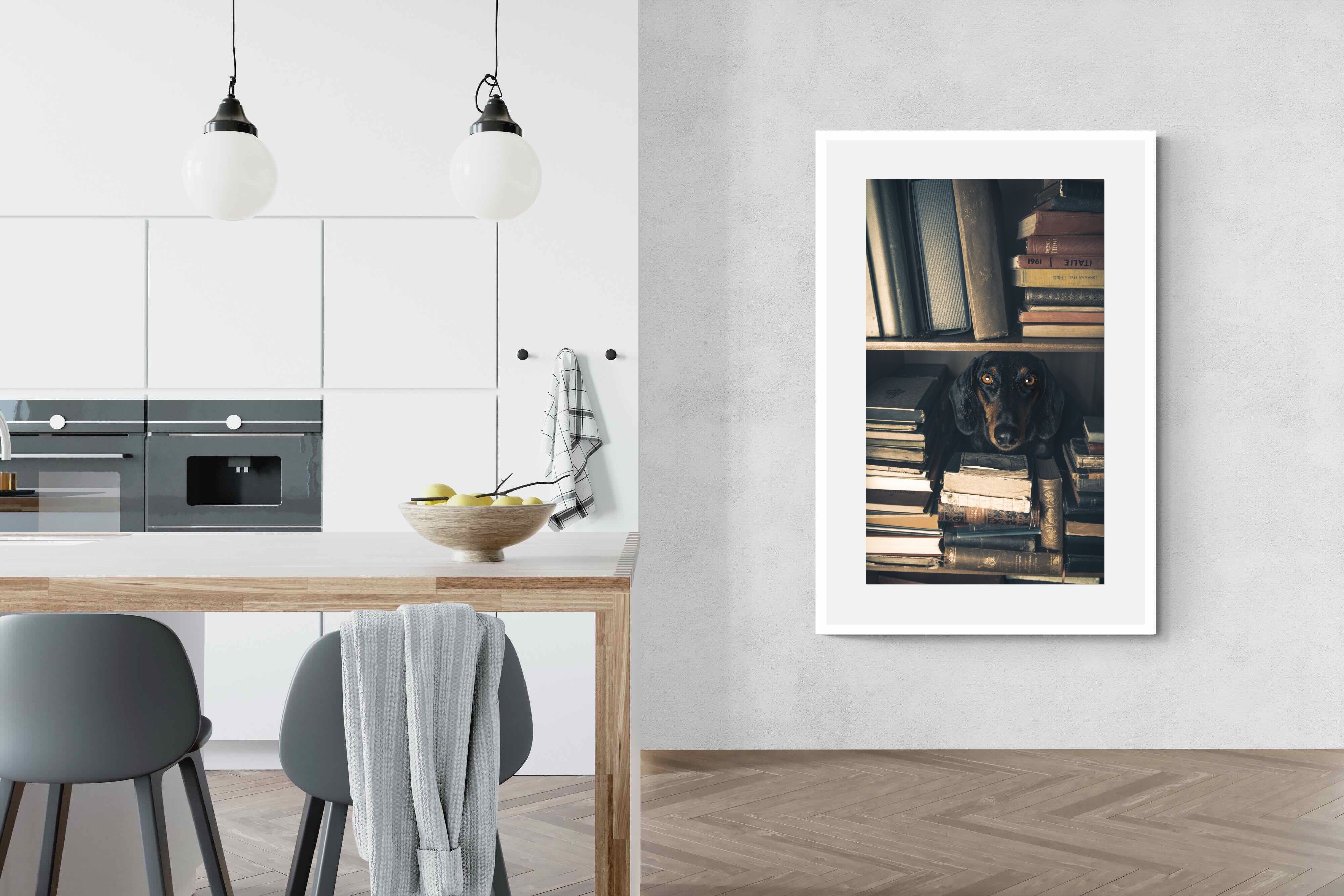 Pixalot Hound Among Books