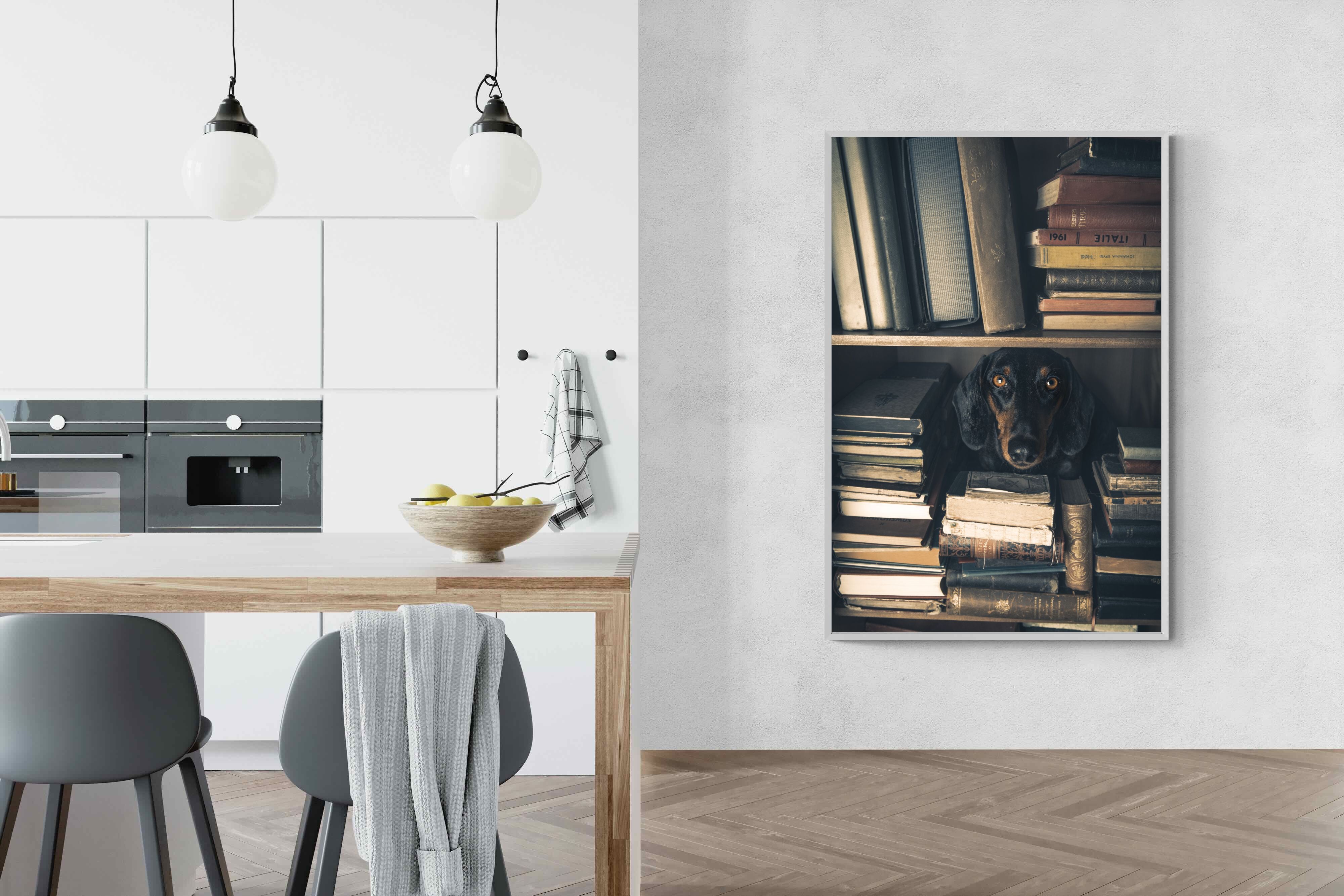 Pixalot Hound Among Books