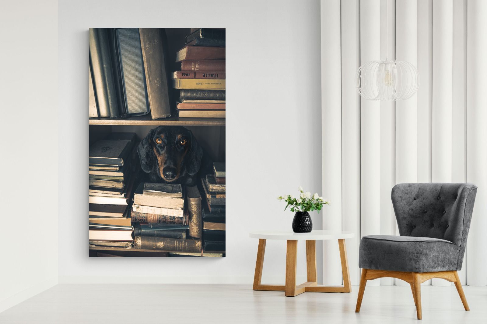 Pixalot Hound Among Books
