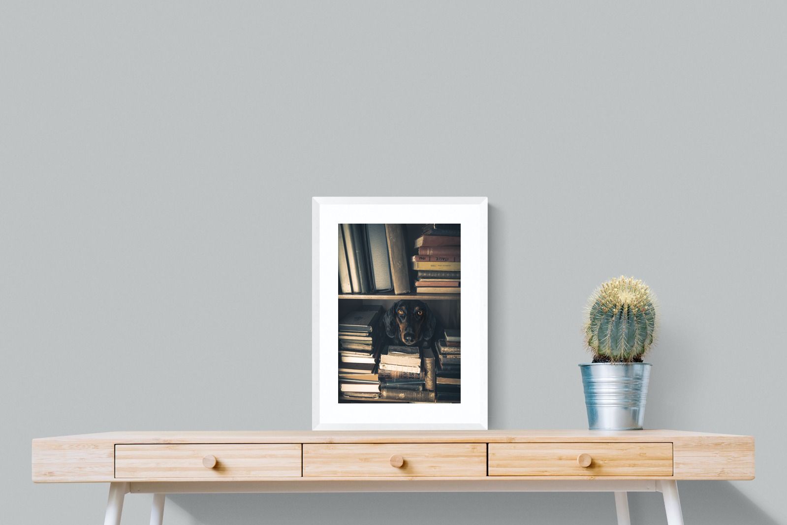 Pixalot Hound Among Books