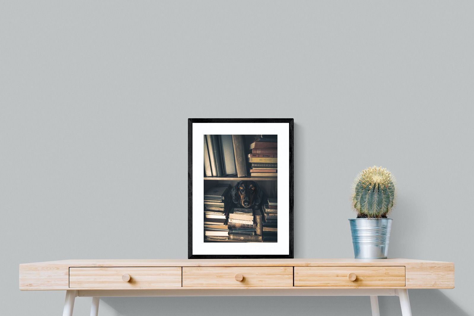 Pixalot Hound Among Books