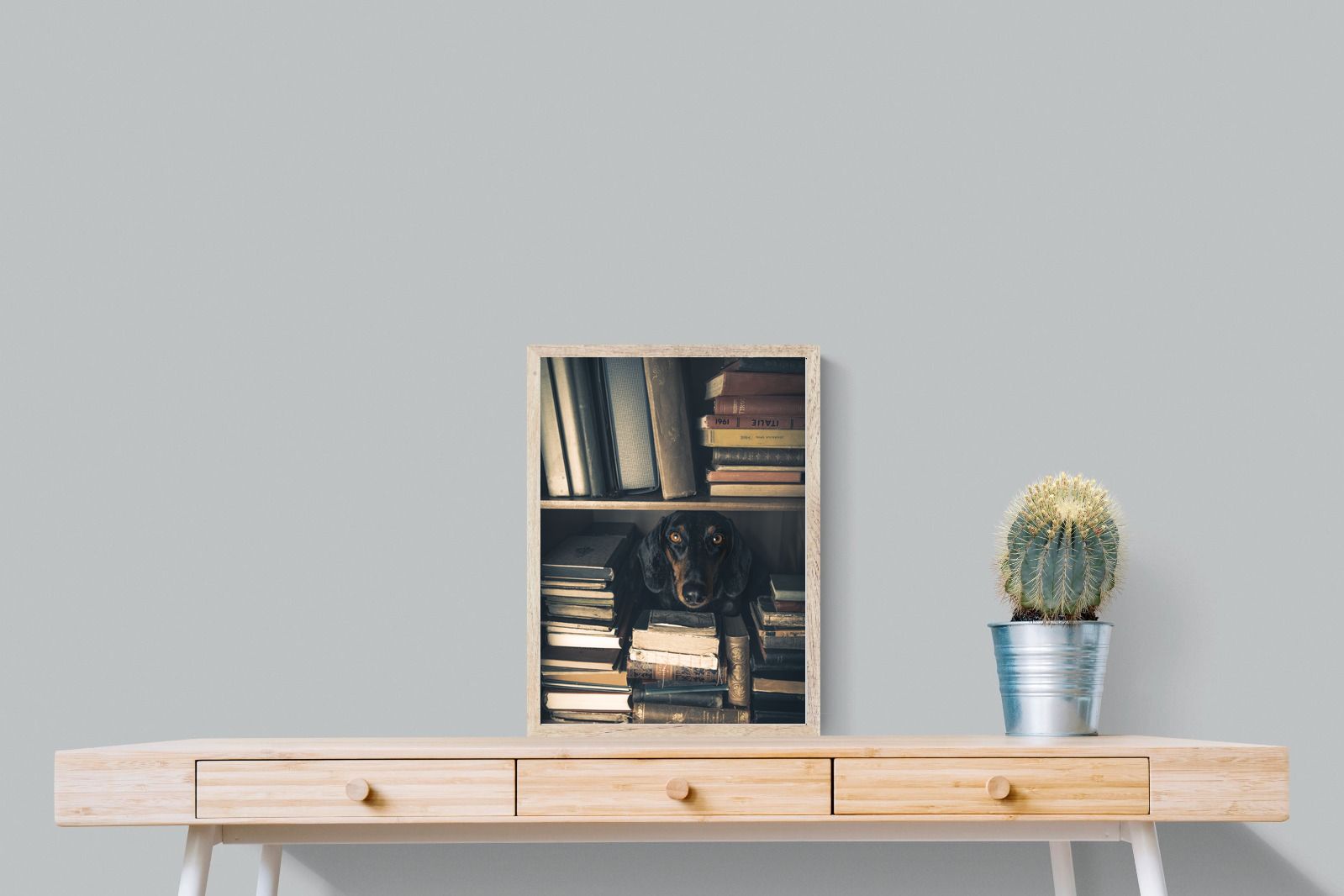 Pixalot Hound Among Books