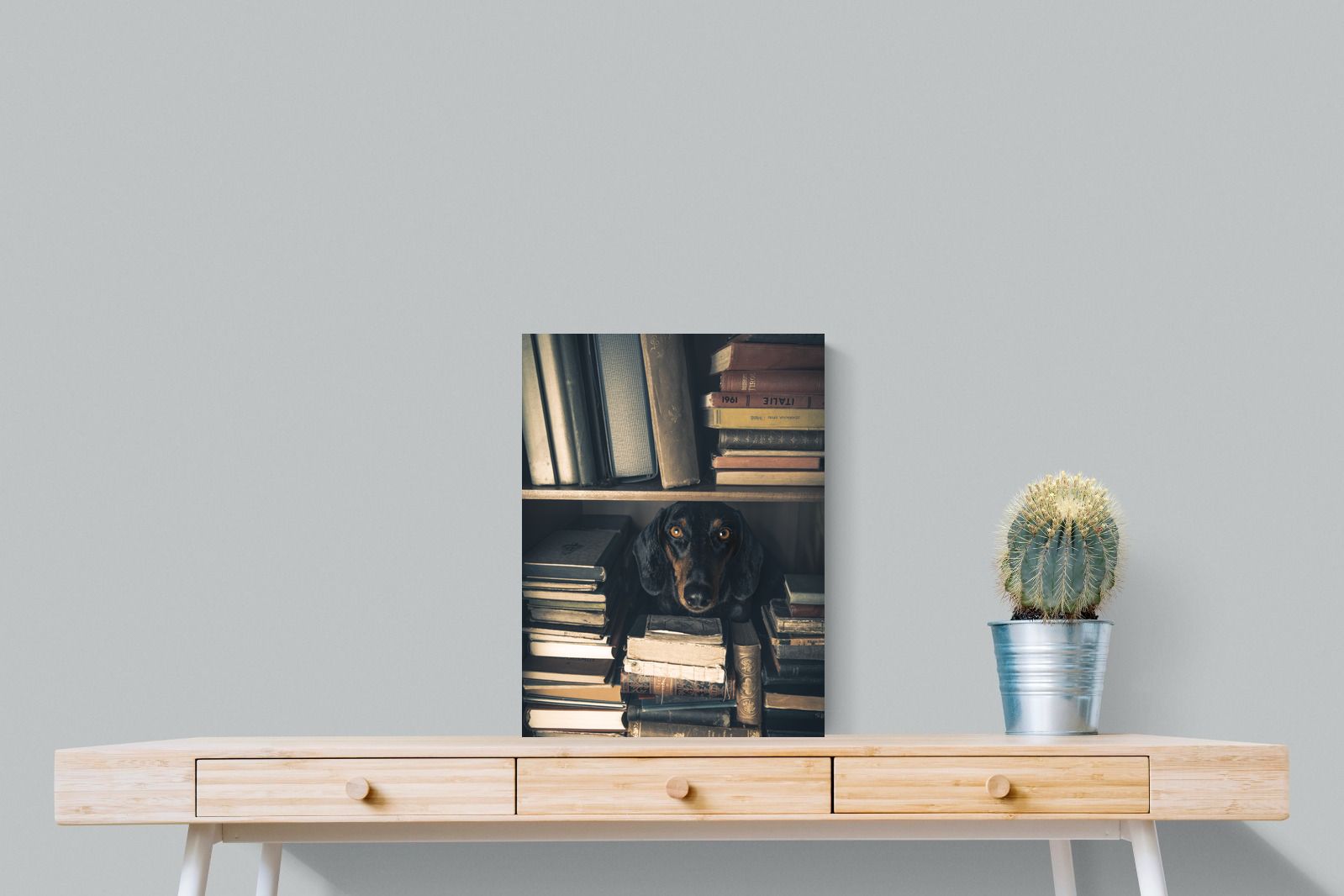 Pixalot Hound Among Books