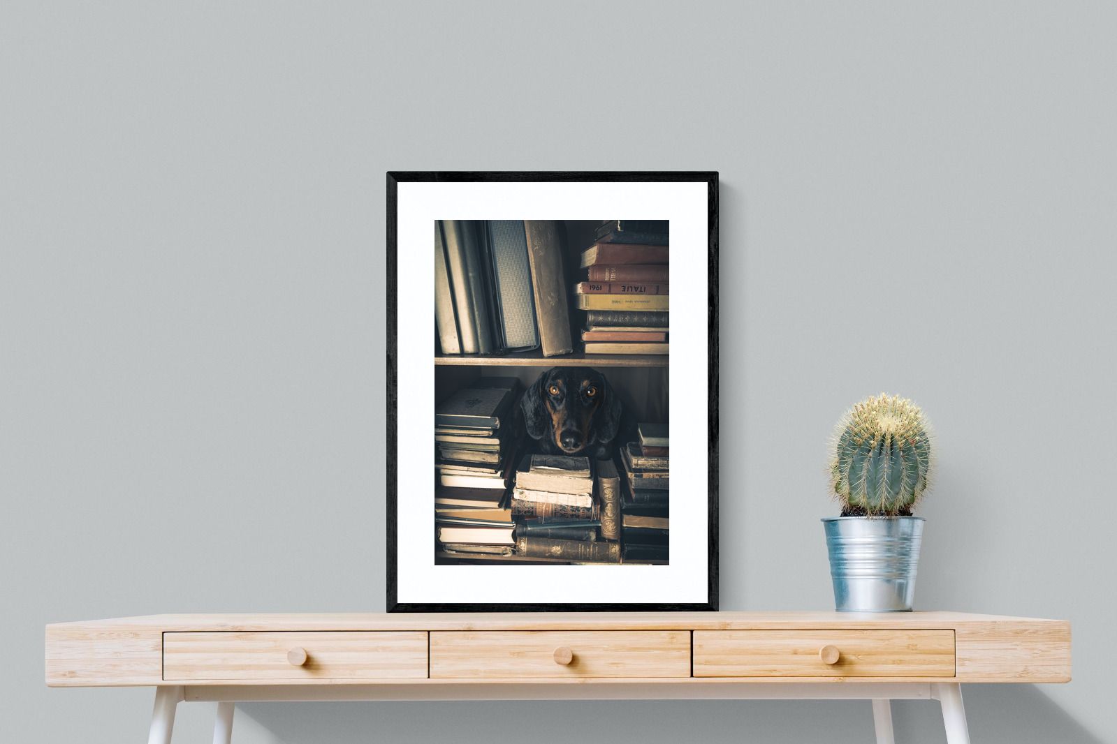 Pixalot Hound Among Books