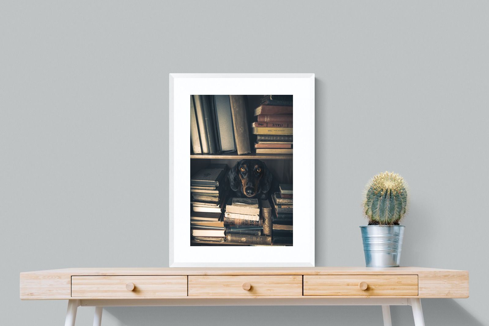 Pixalot Hound Among Books