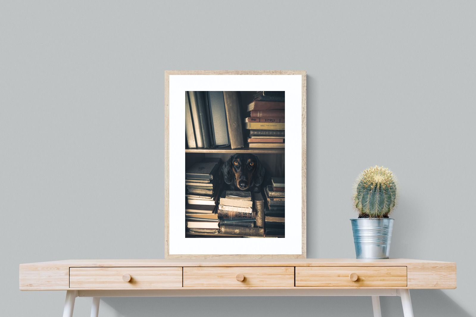 Pixalot Hound Among Books