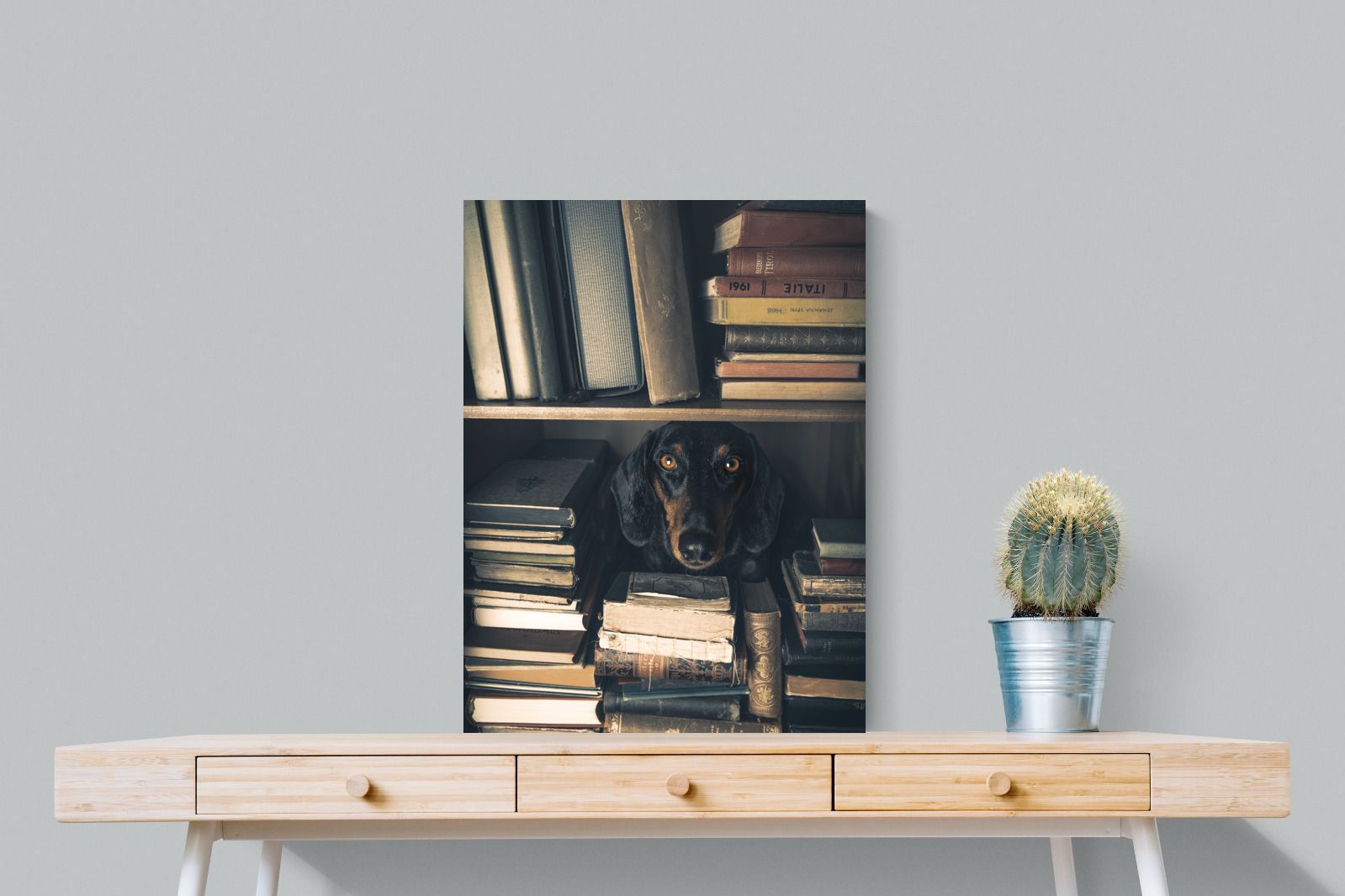 Pixalot Hound Among Books