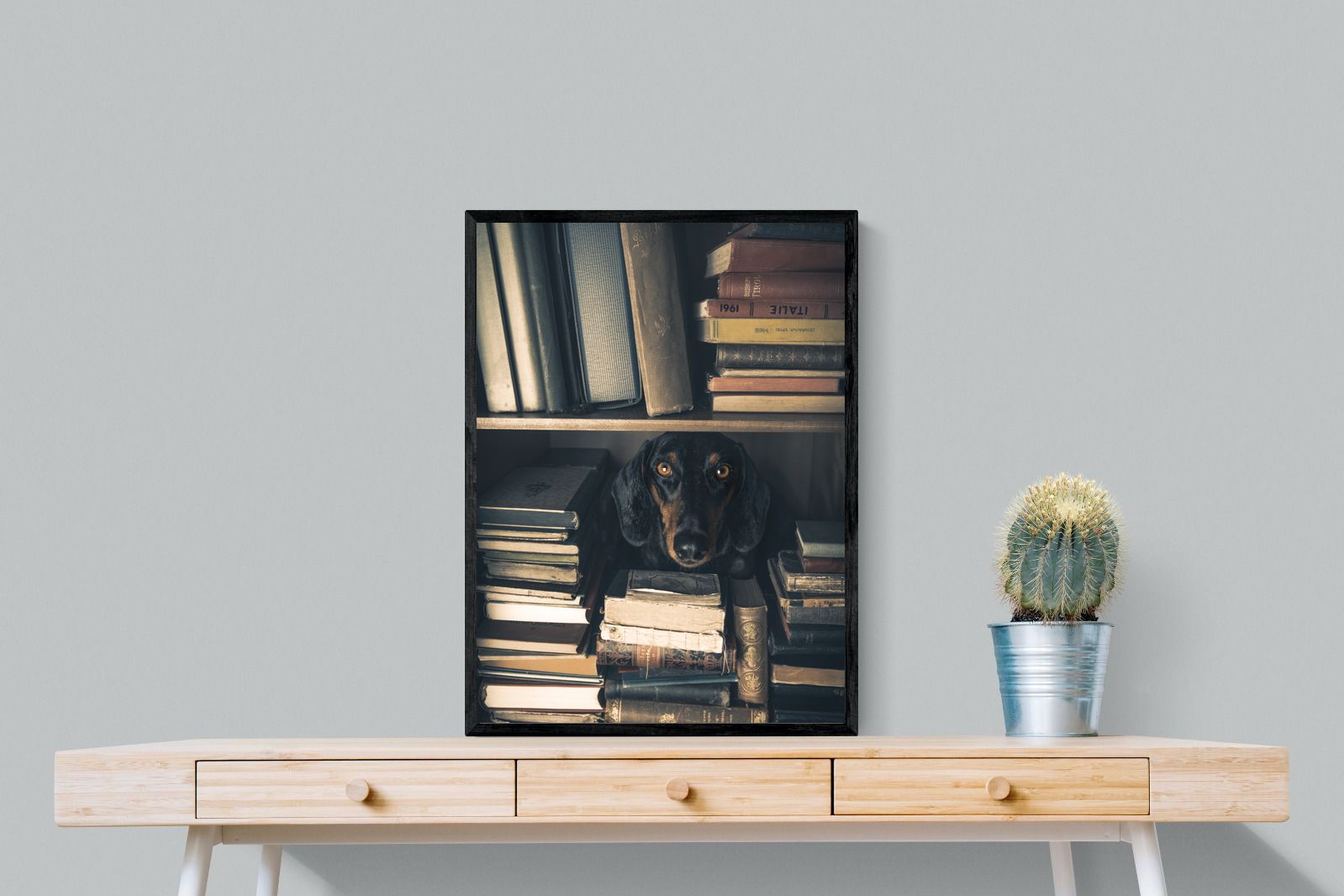 Pixalot Hound Among Books