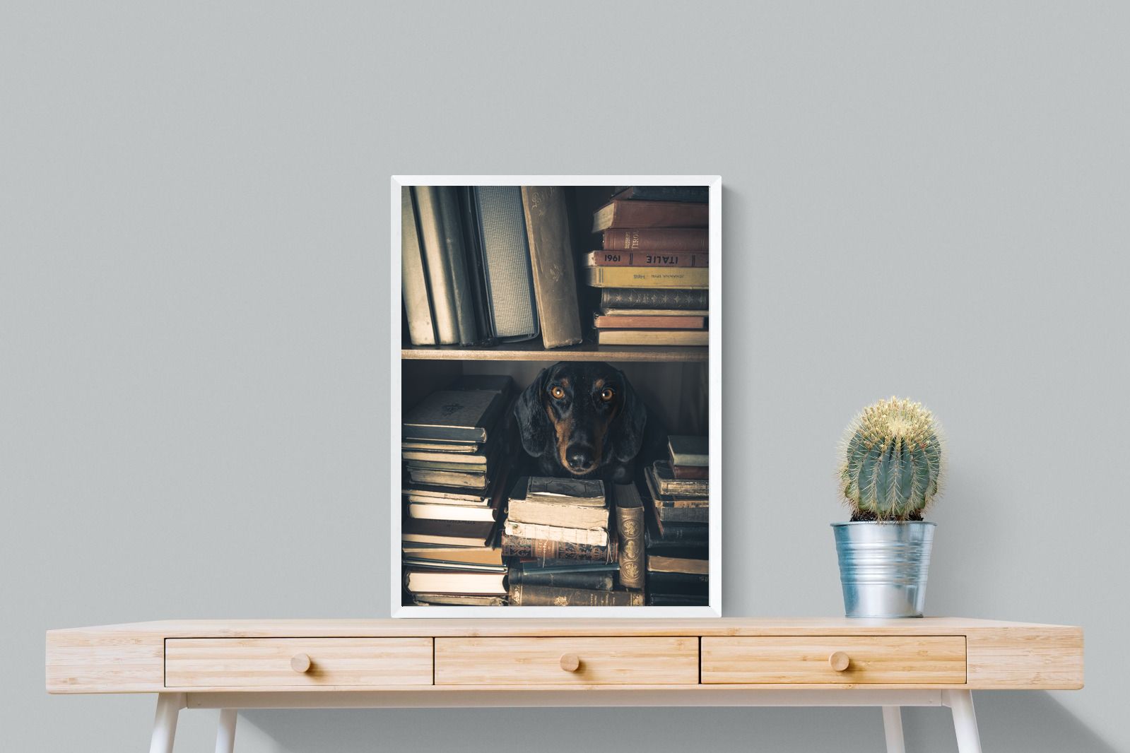 Pixalot Hound Among Books