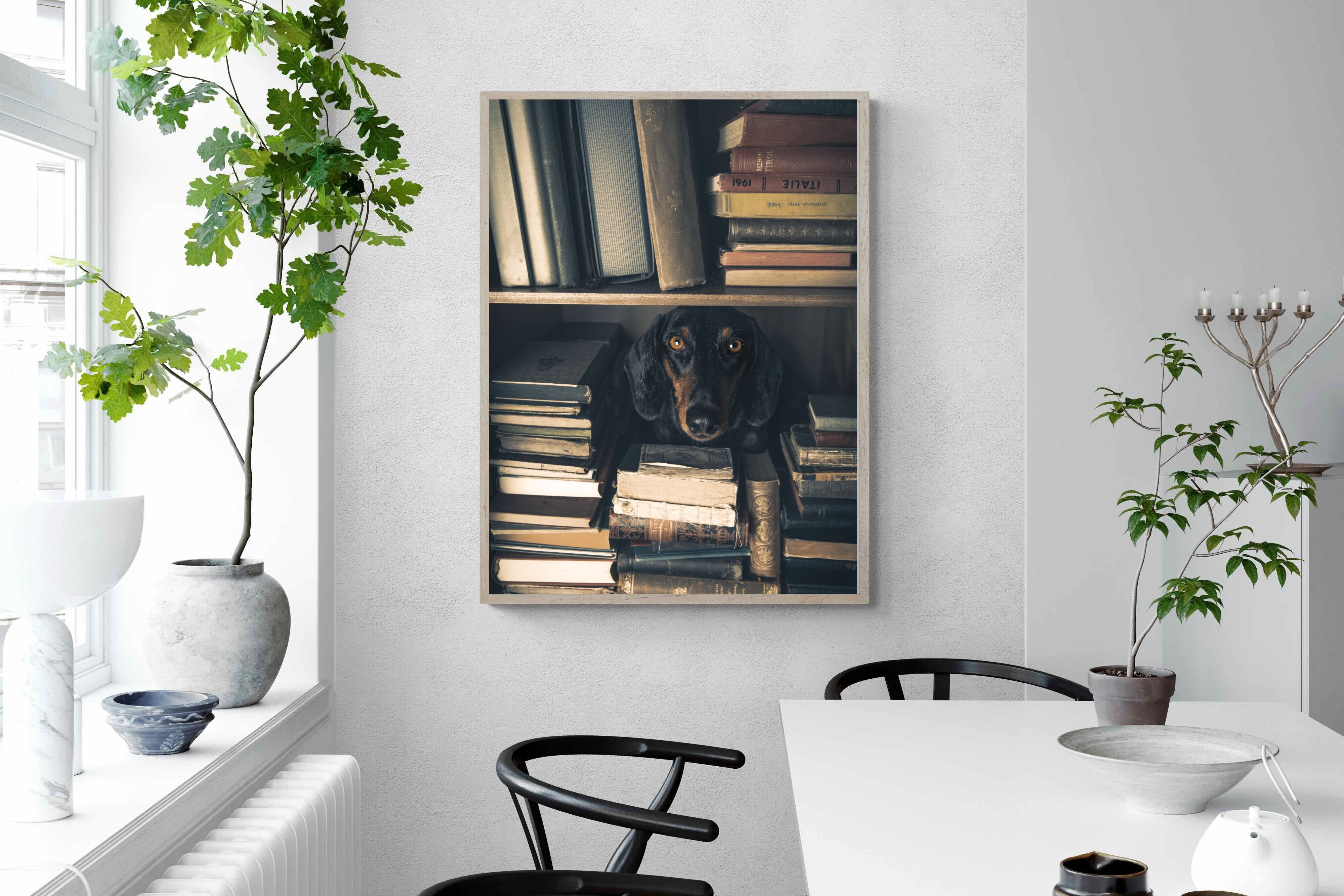 Pixalot Hound Among Books