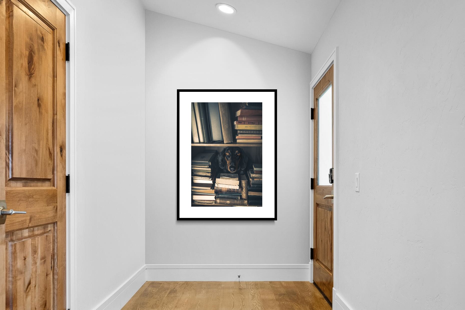 Pixalot Hound Among Books