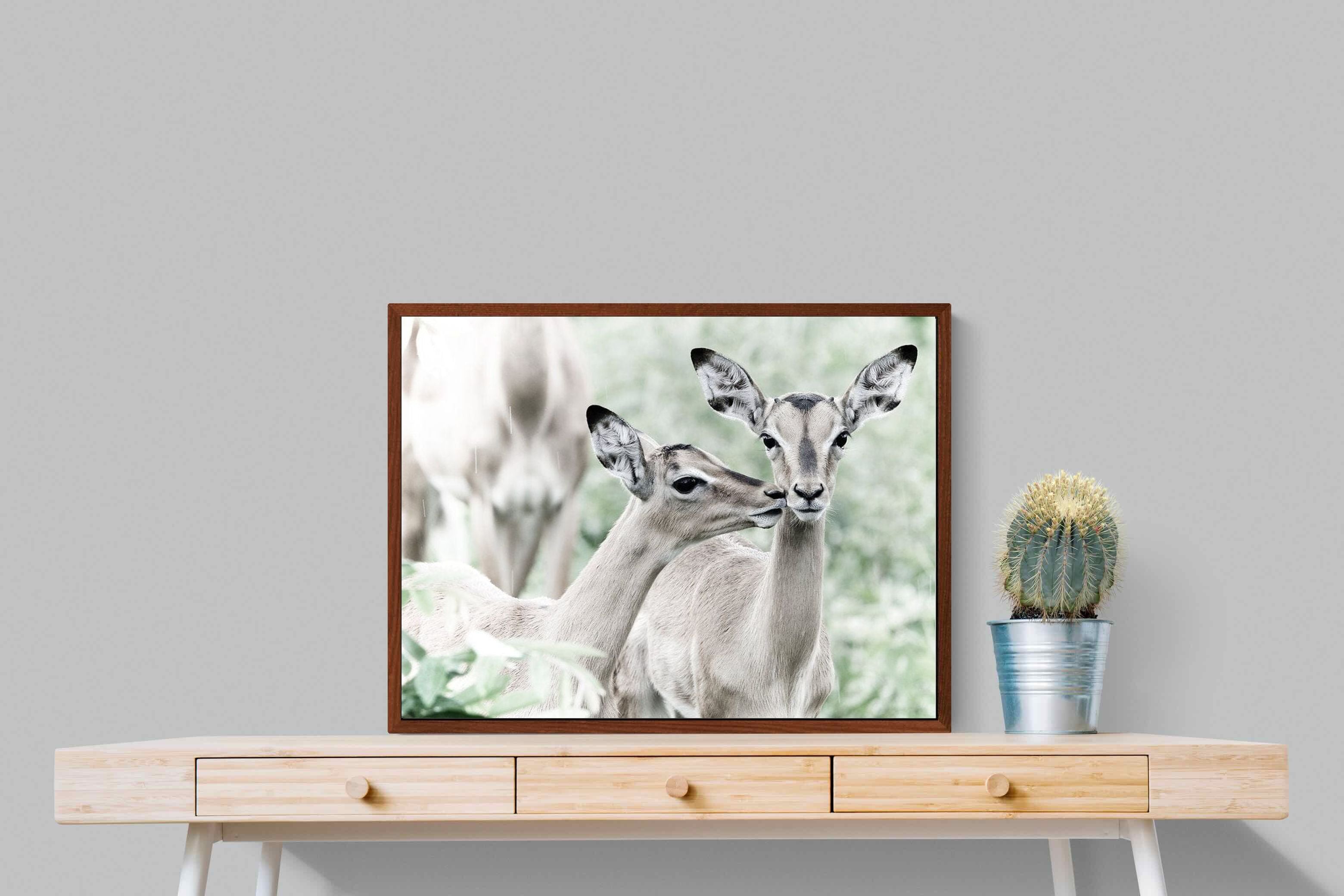 Pixalot Impala Kisses