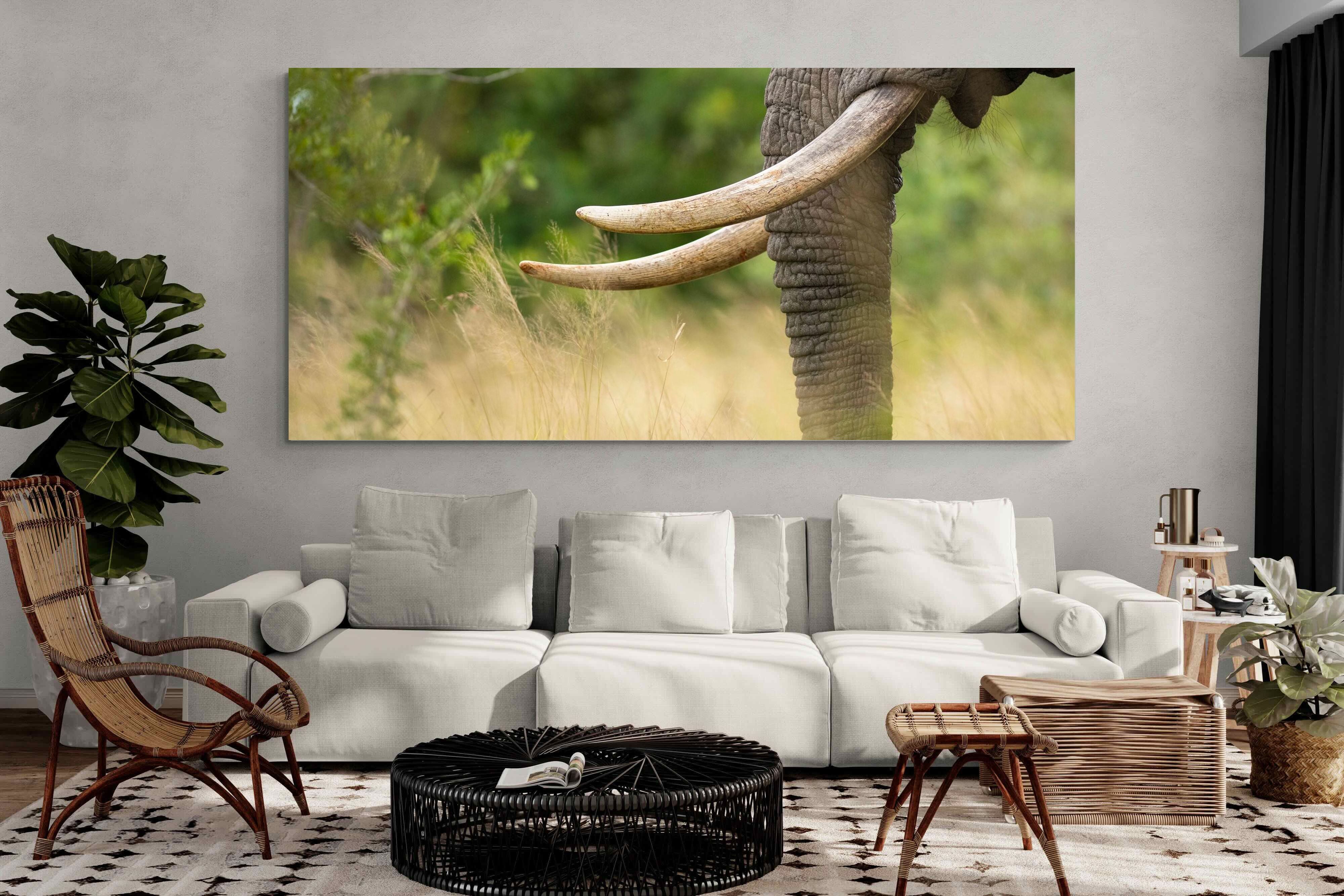 Pixalot ® Ivory Curve