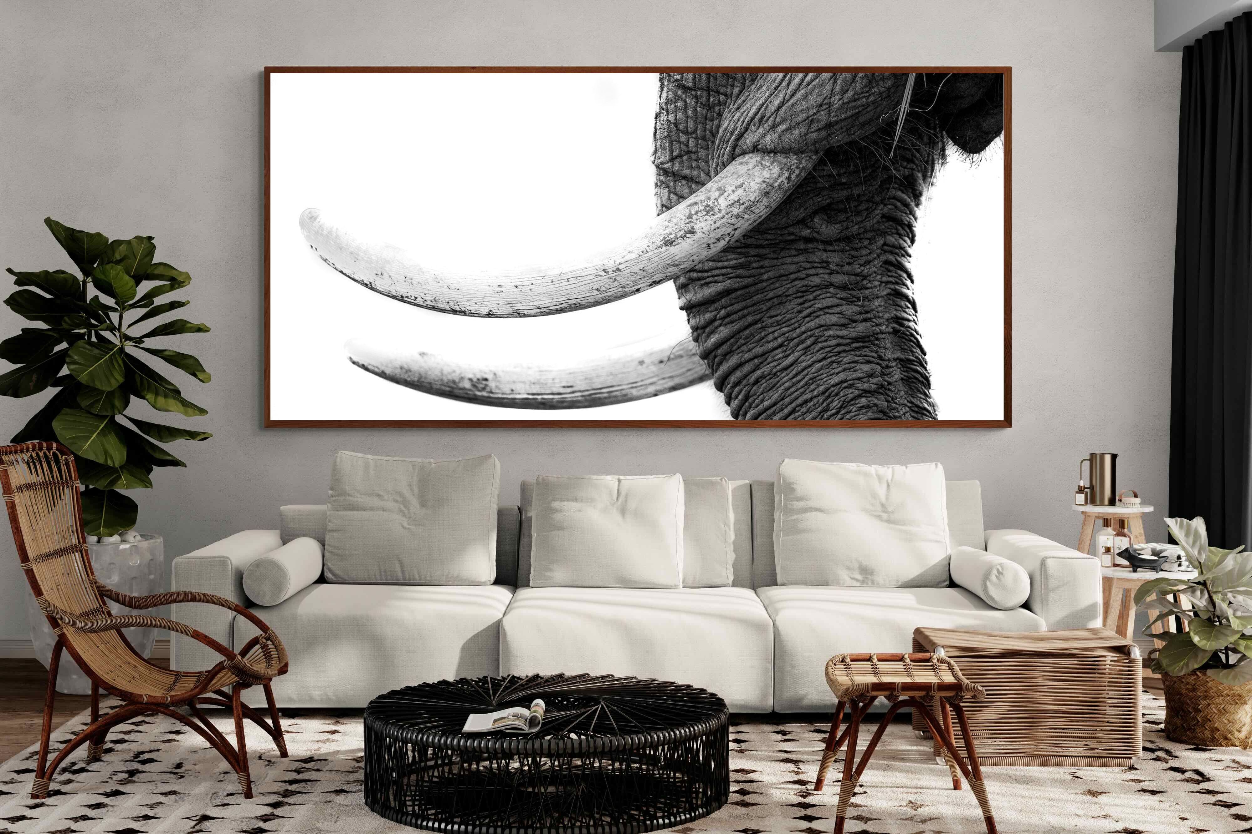 Pixalot ® Ivory