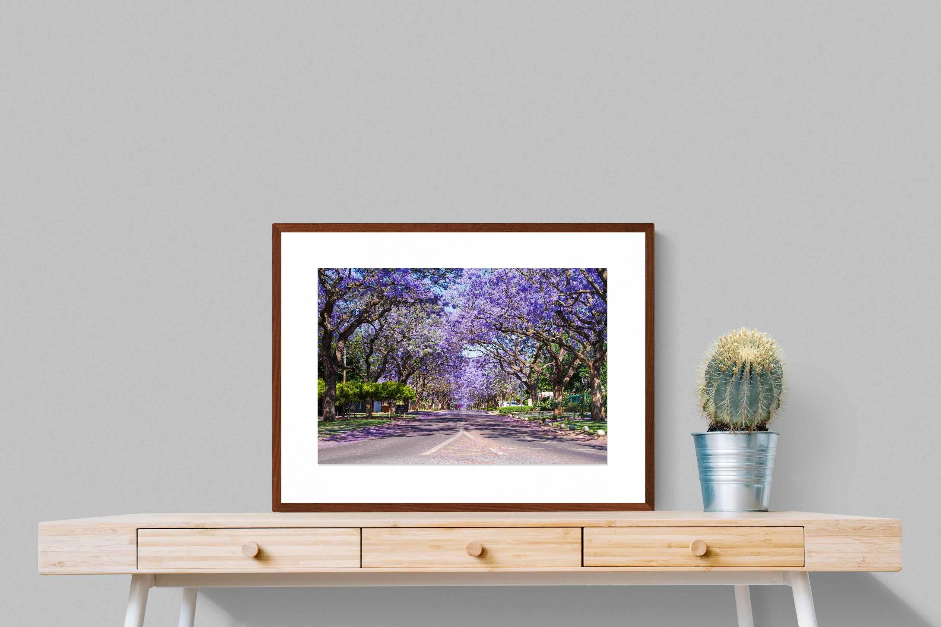 Pixalot ® Jacaranda
