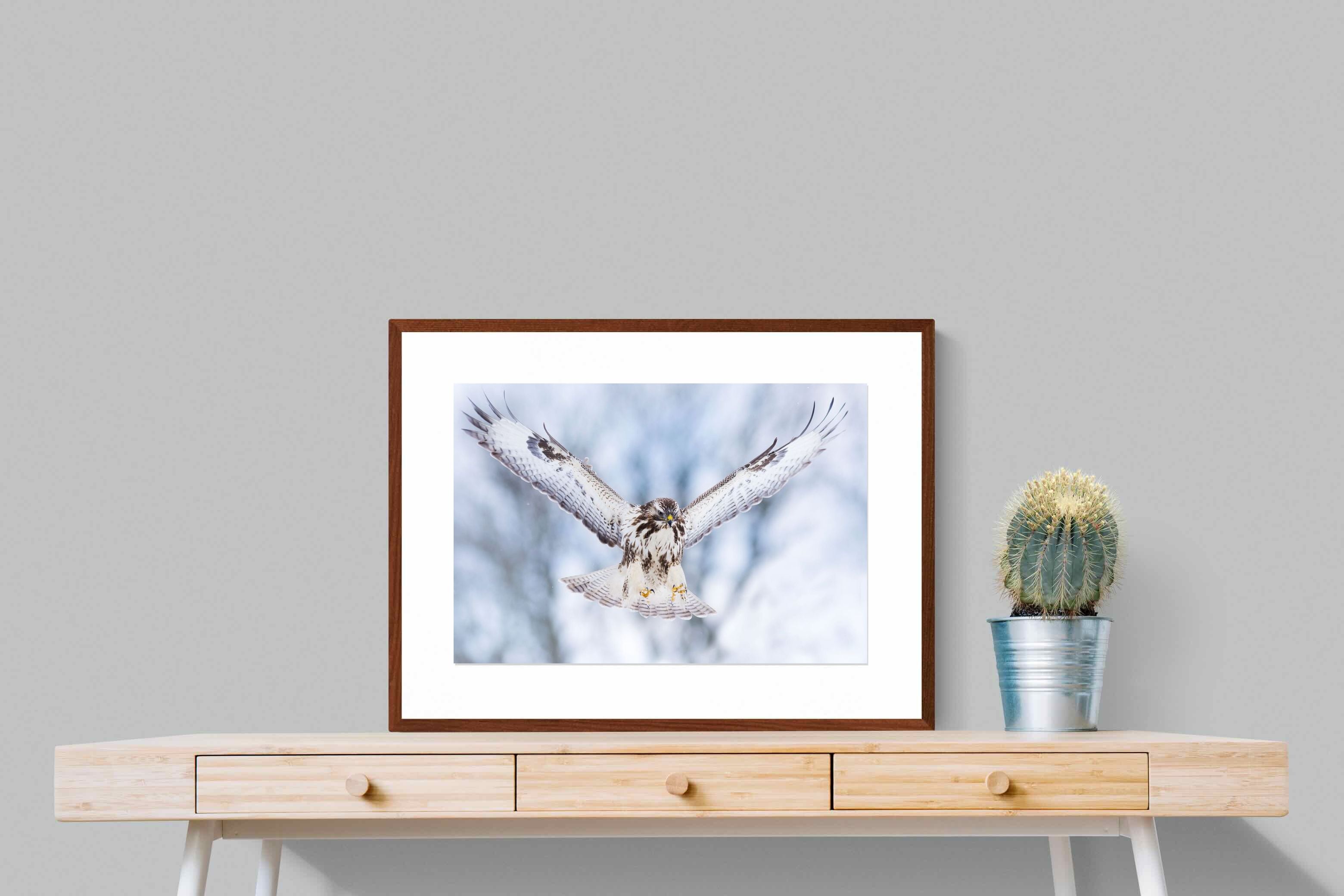 Pixalot ® Jackal Buzzard