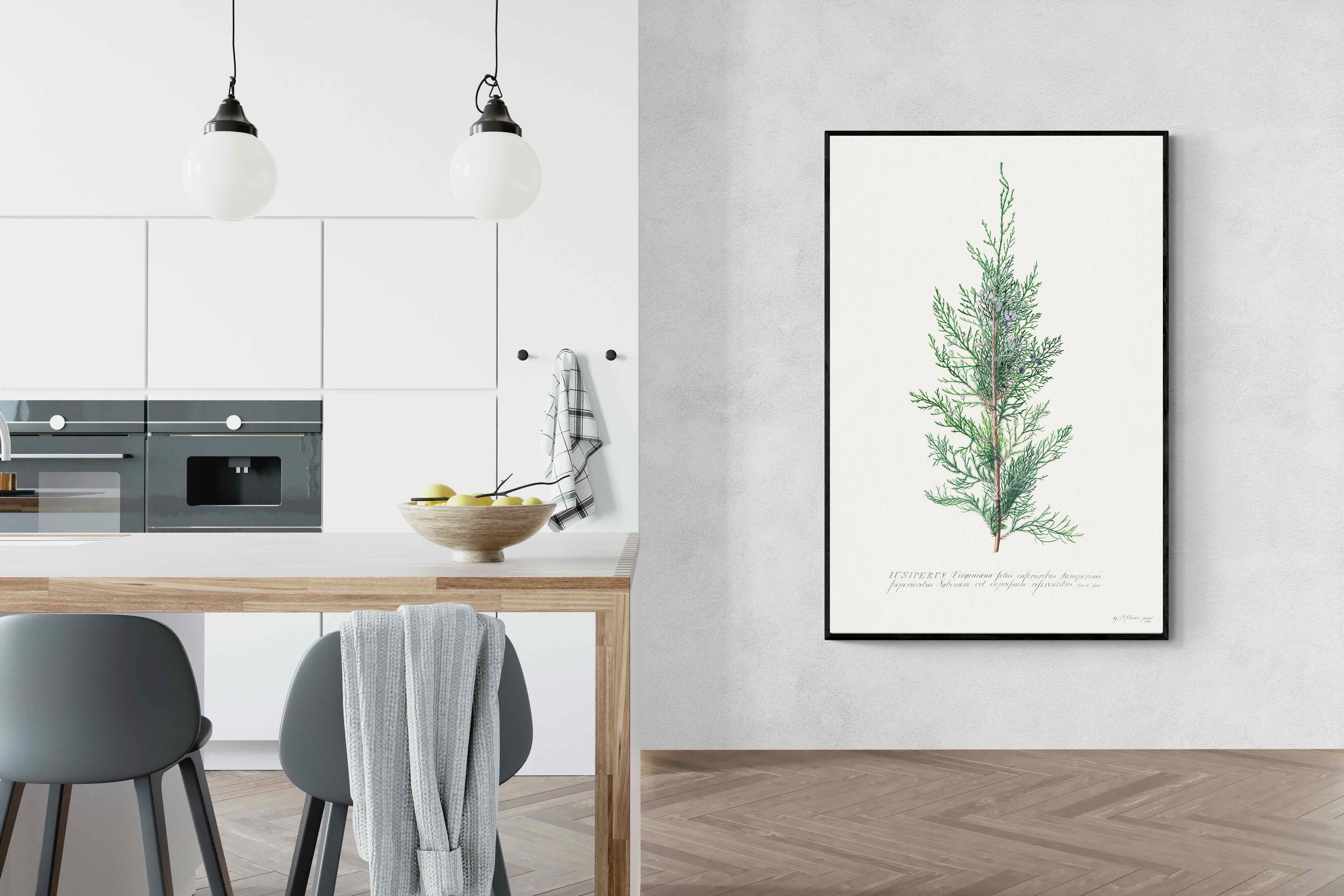 Pixalot Juniper Silhouette