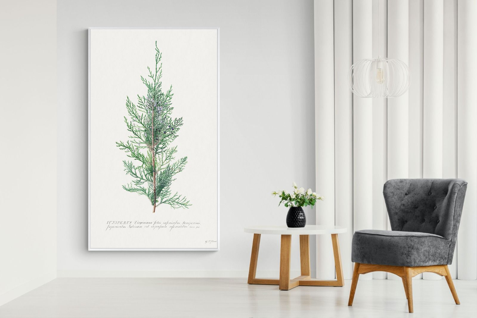 Pixalot Juniper Silhouette