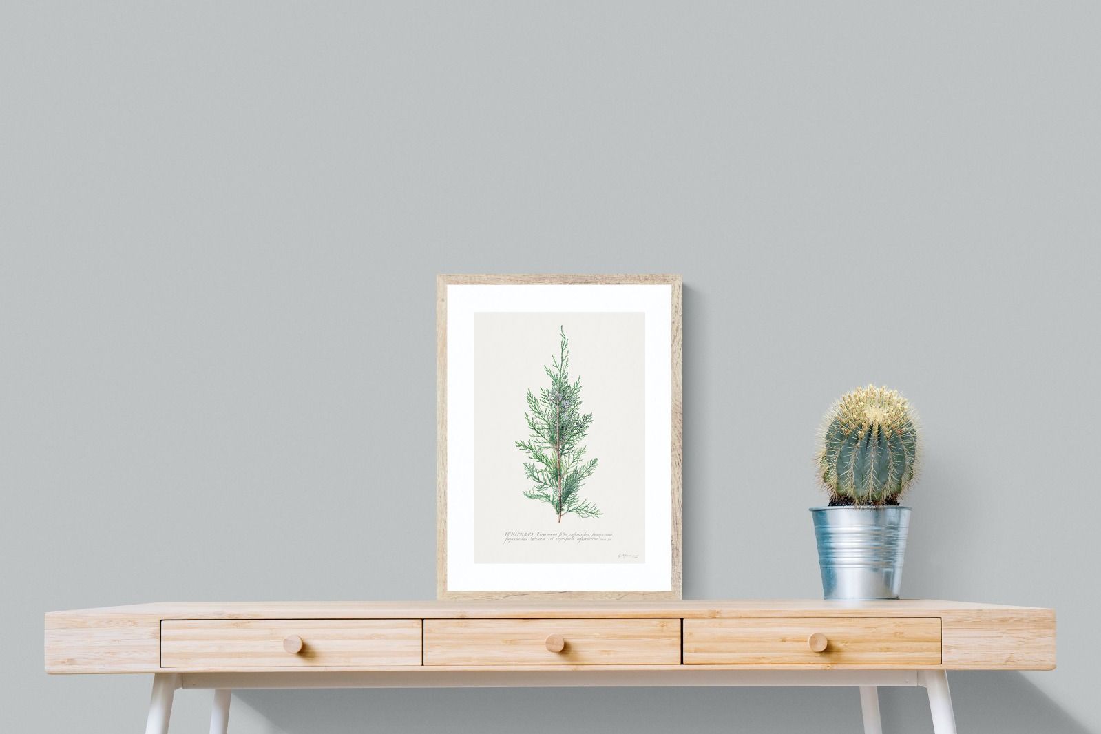 Pixalot Juniper Silhouette