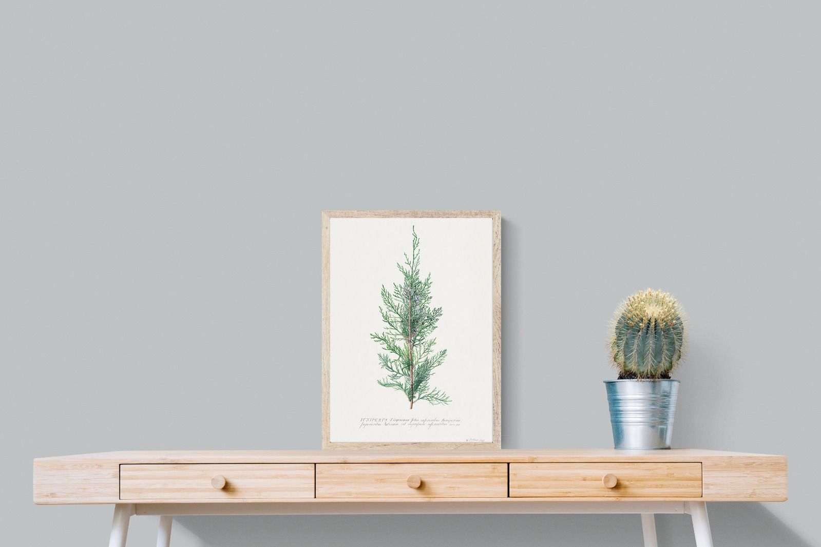 Pixalot Juniper Silhouette