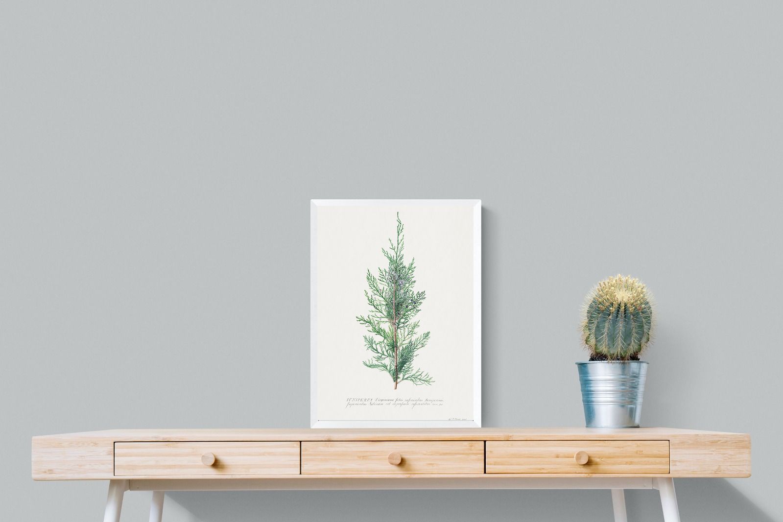 Pixalot Juniper Silhouette