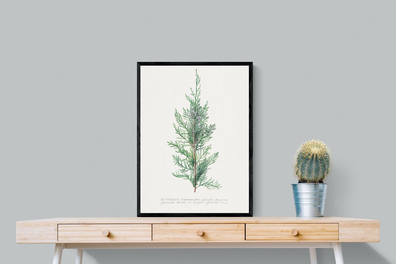 Pixalot Juniper Silhouette
