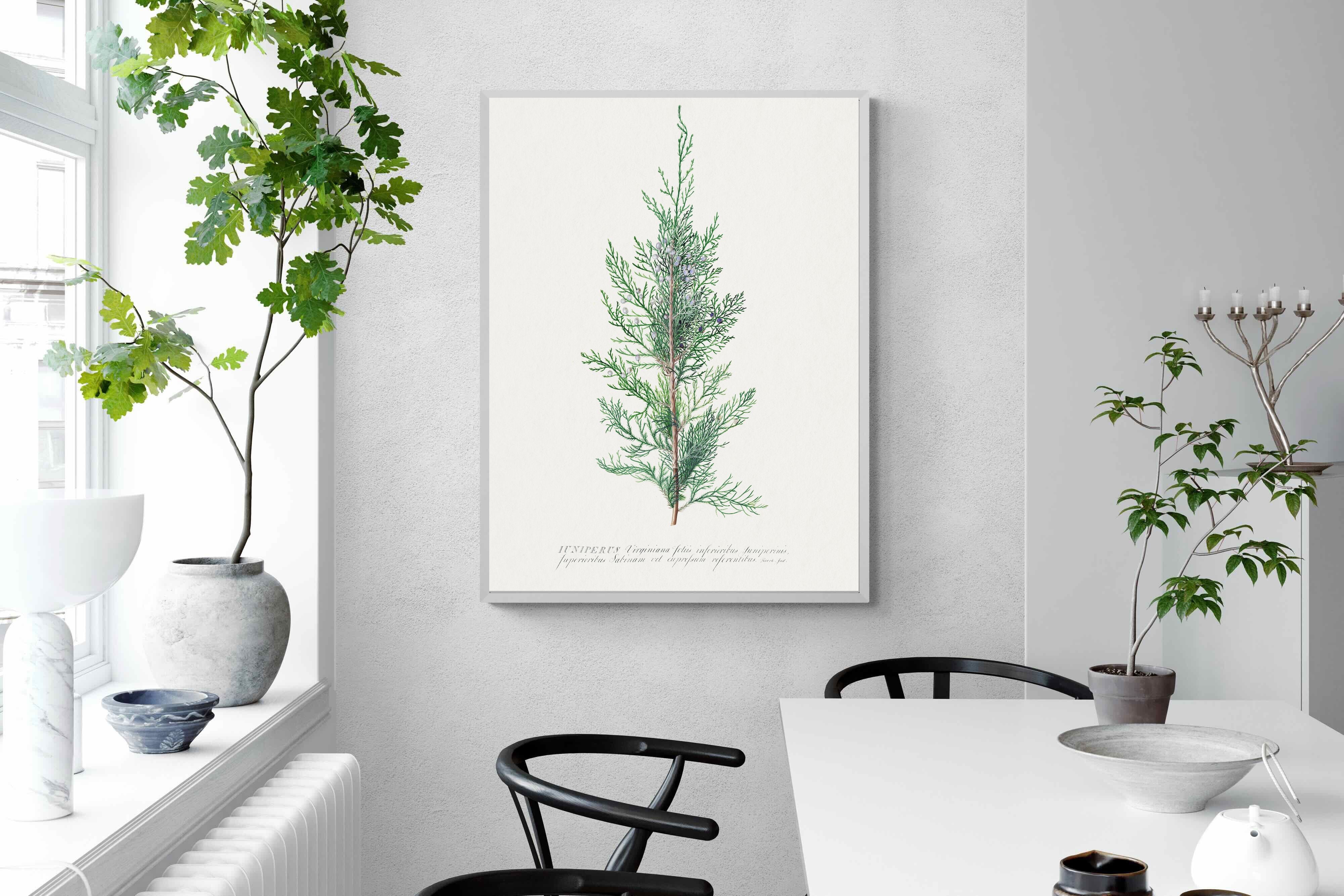 Pixalot Juniper Silhouette