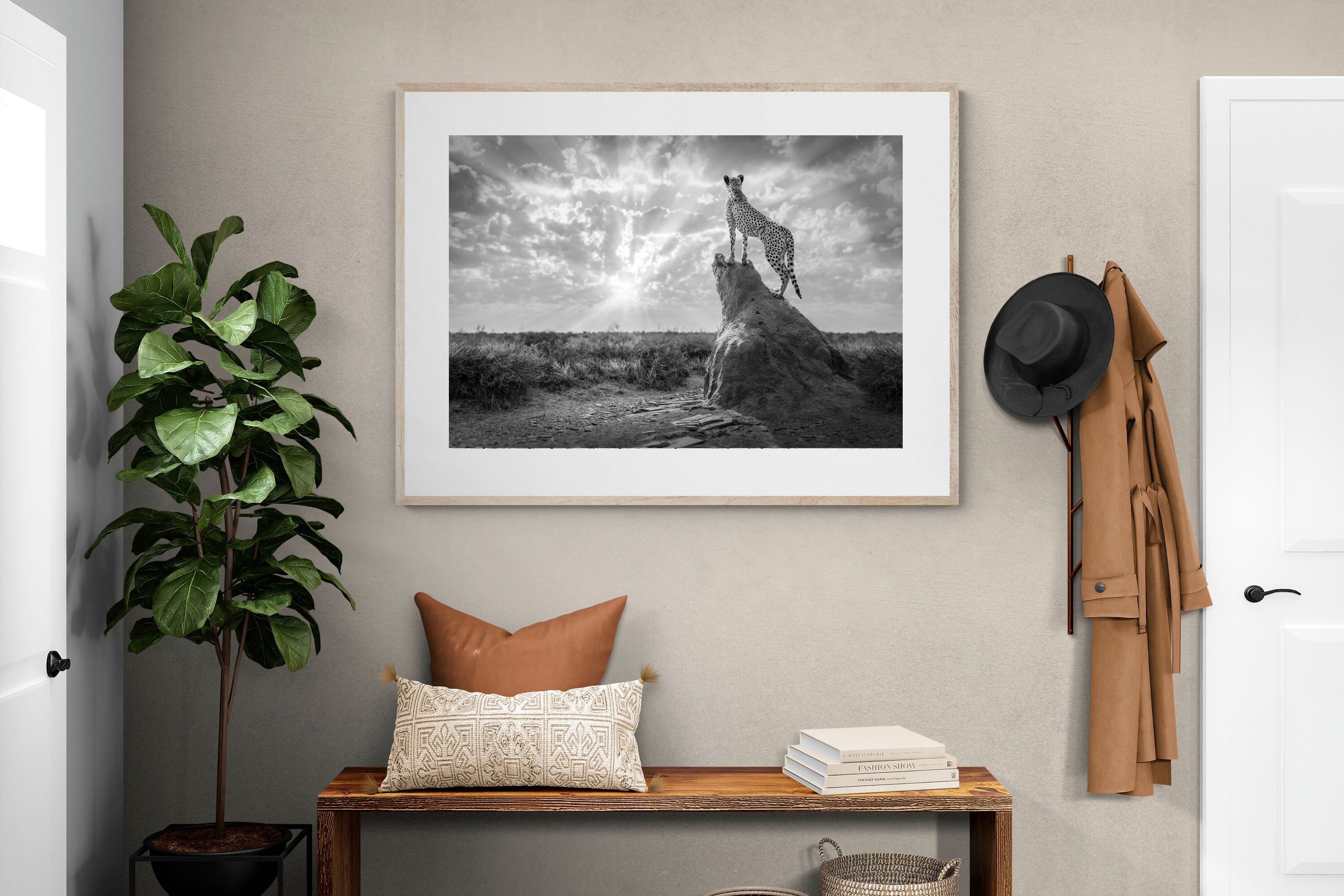 Pixalot King of the Savannah