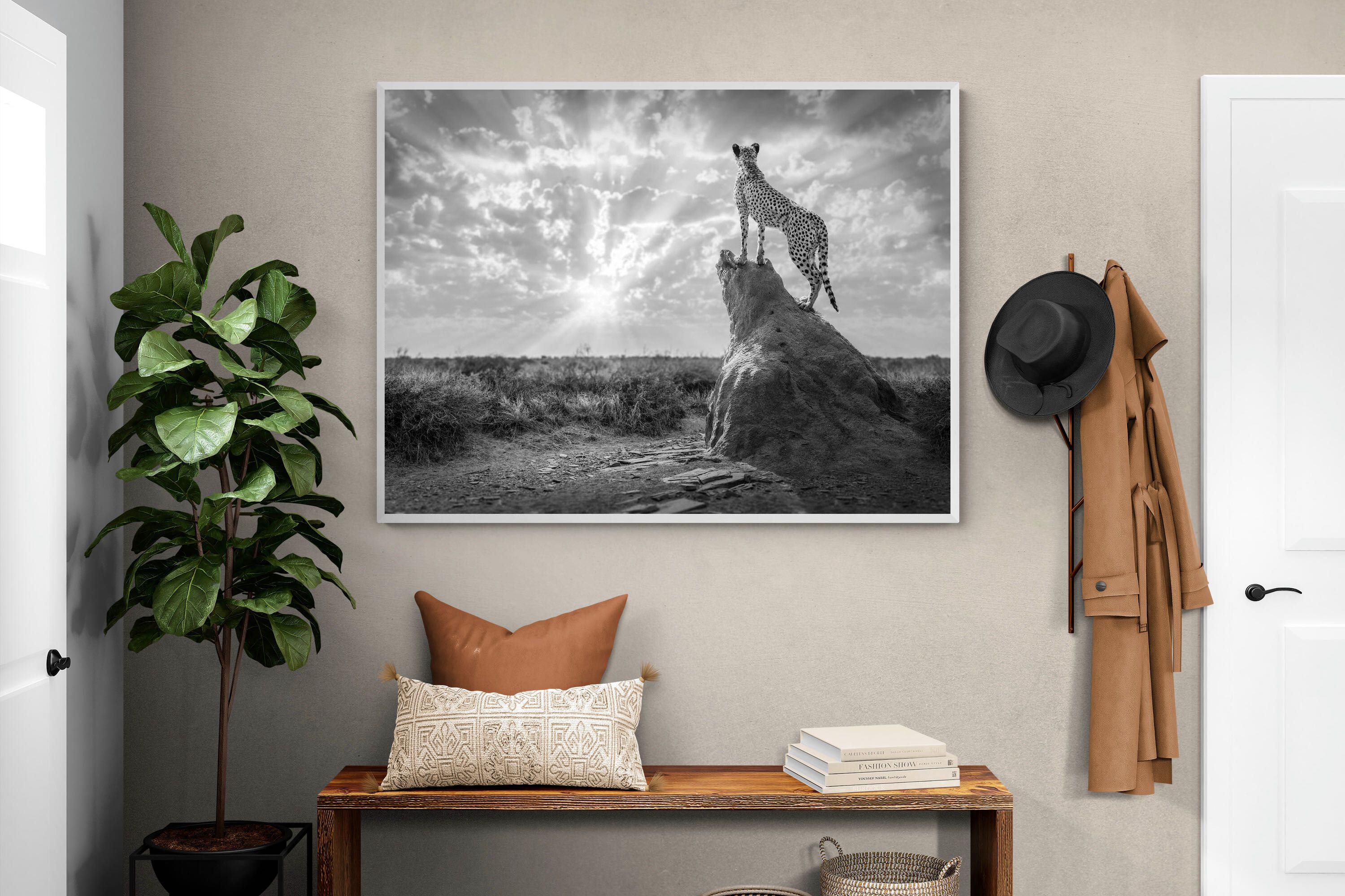 Pixalot King of the Savannah