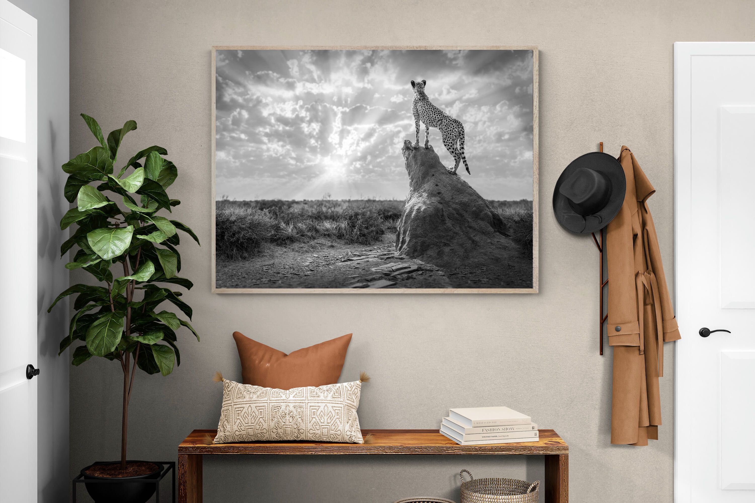 Pixalot King of the Savannah