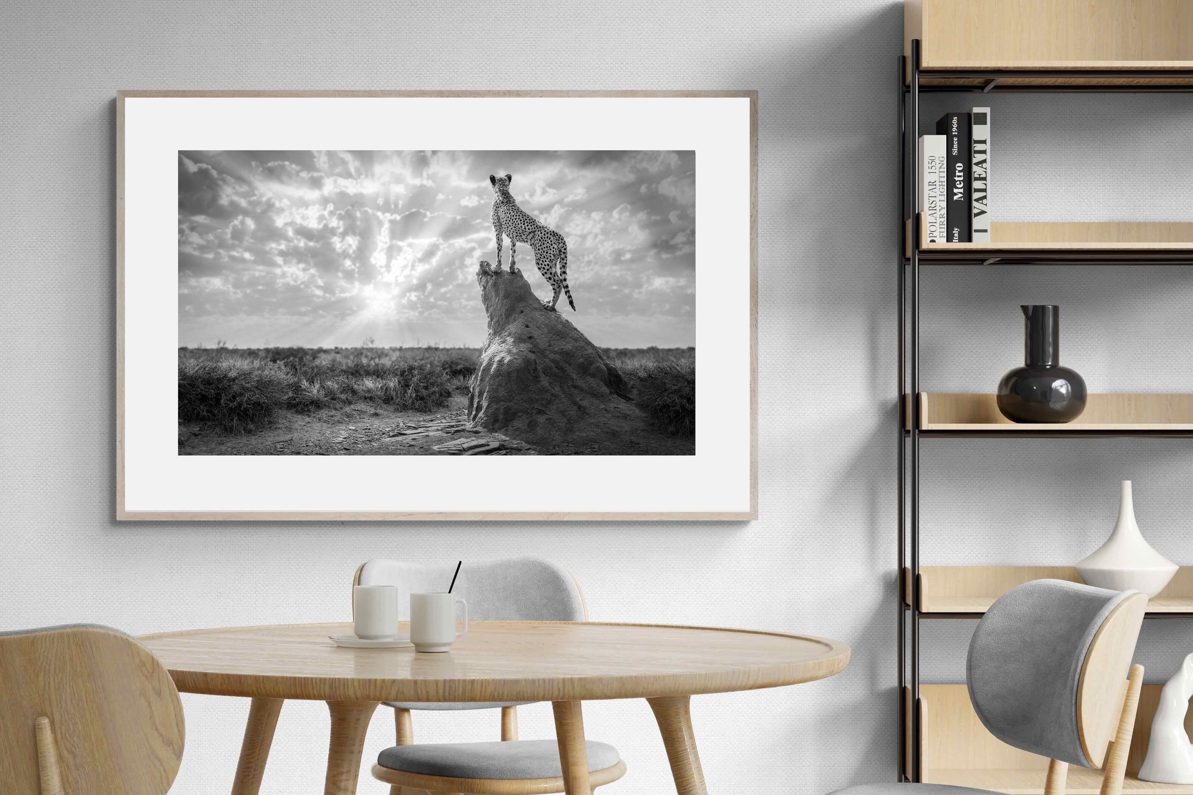 Pixalot King of the Savannah