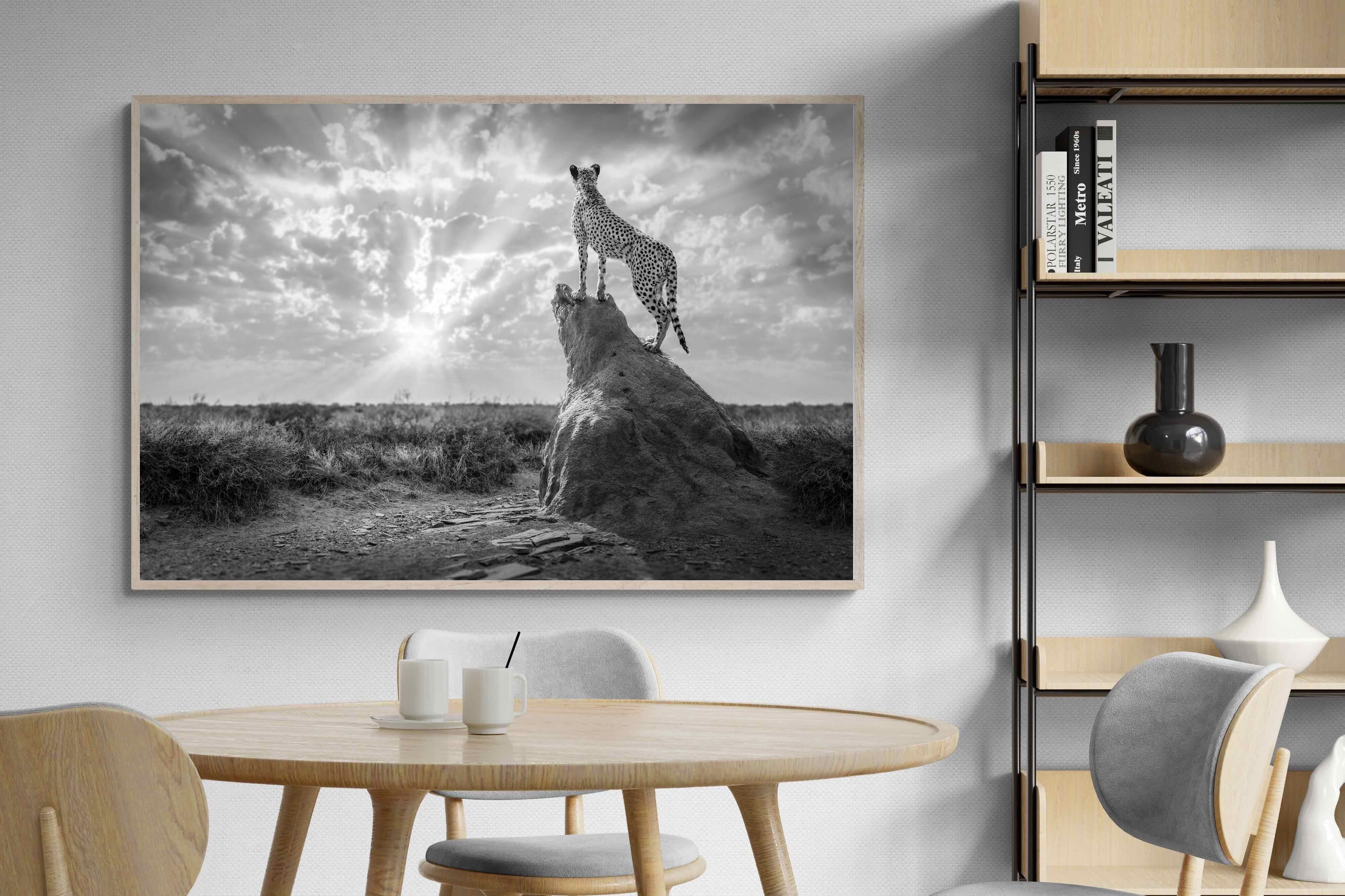 Pixalot King of the Savannah