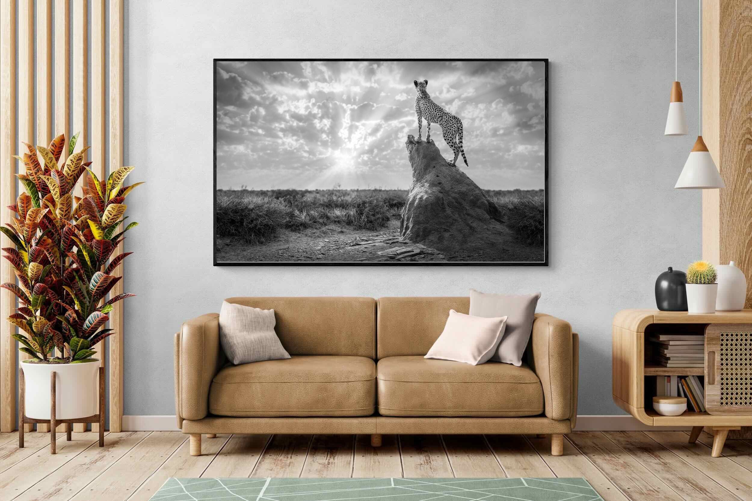 Pixalot King of the Savannah