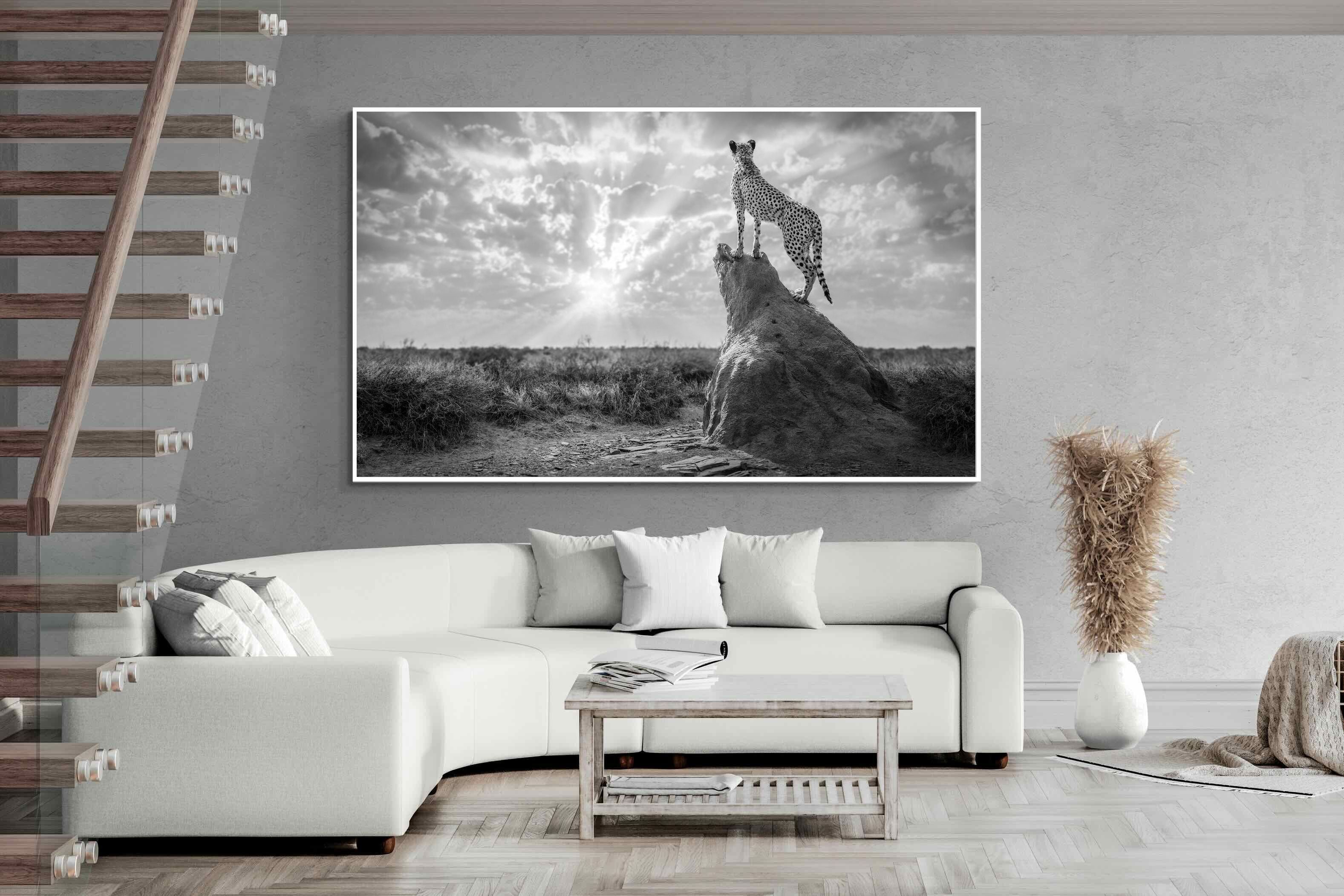 Pixalot King of the Savannah